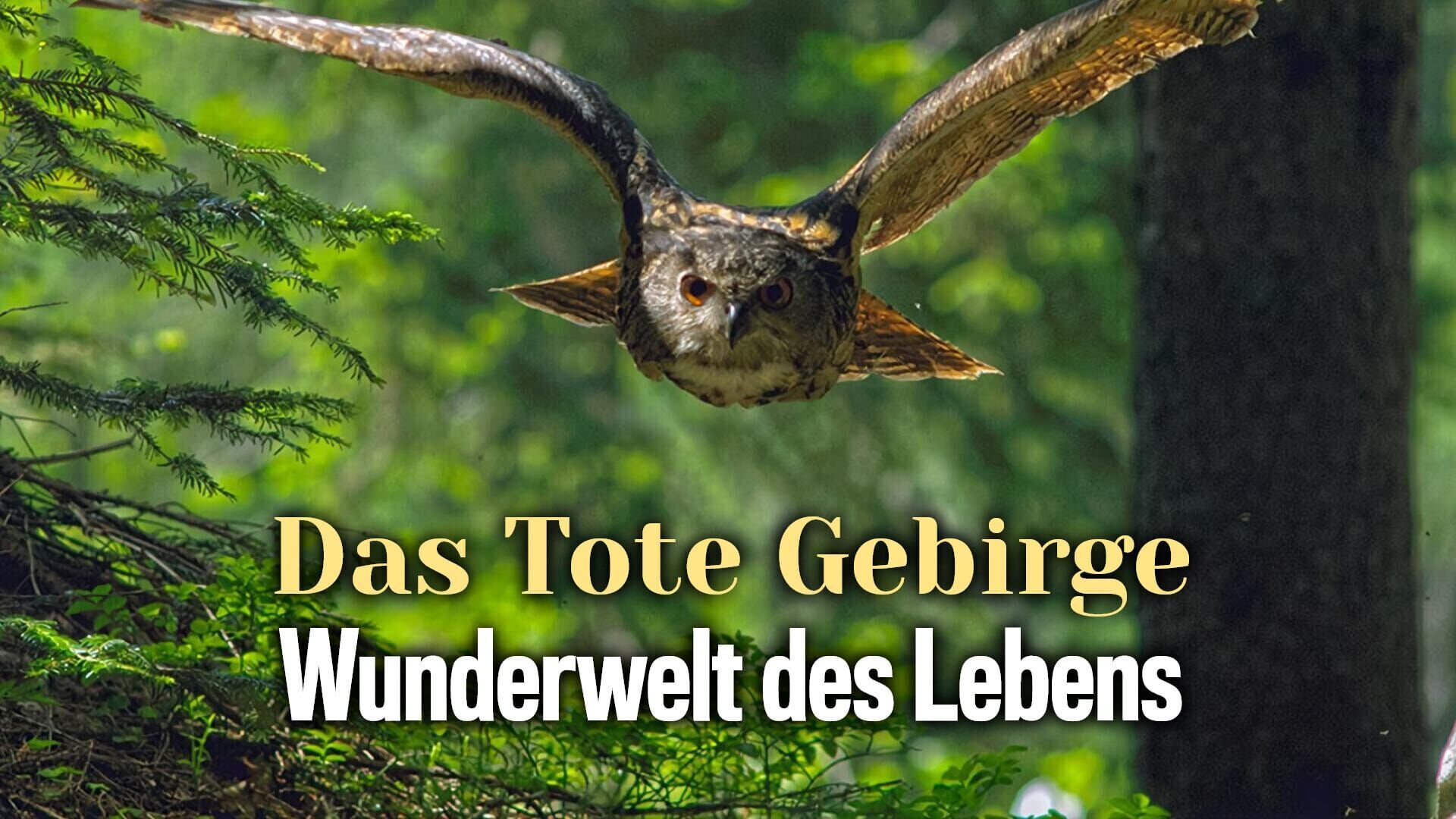 Das Tote Gebirge – Wunderwelt des Lebens