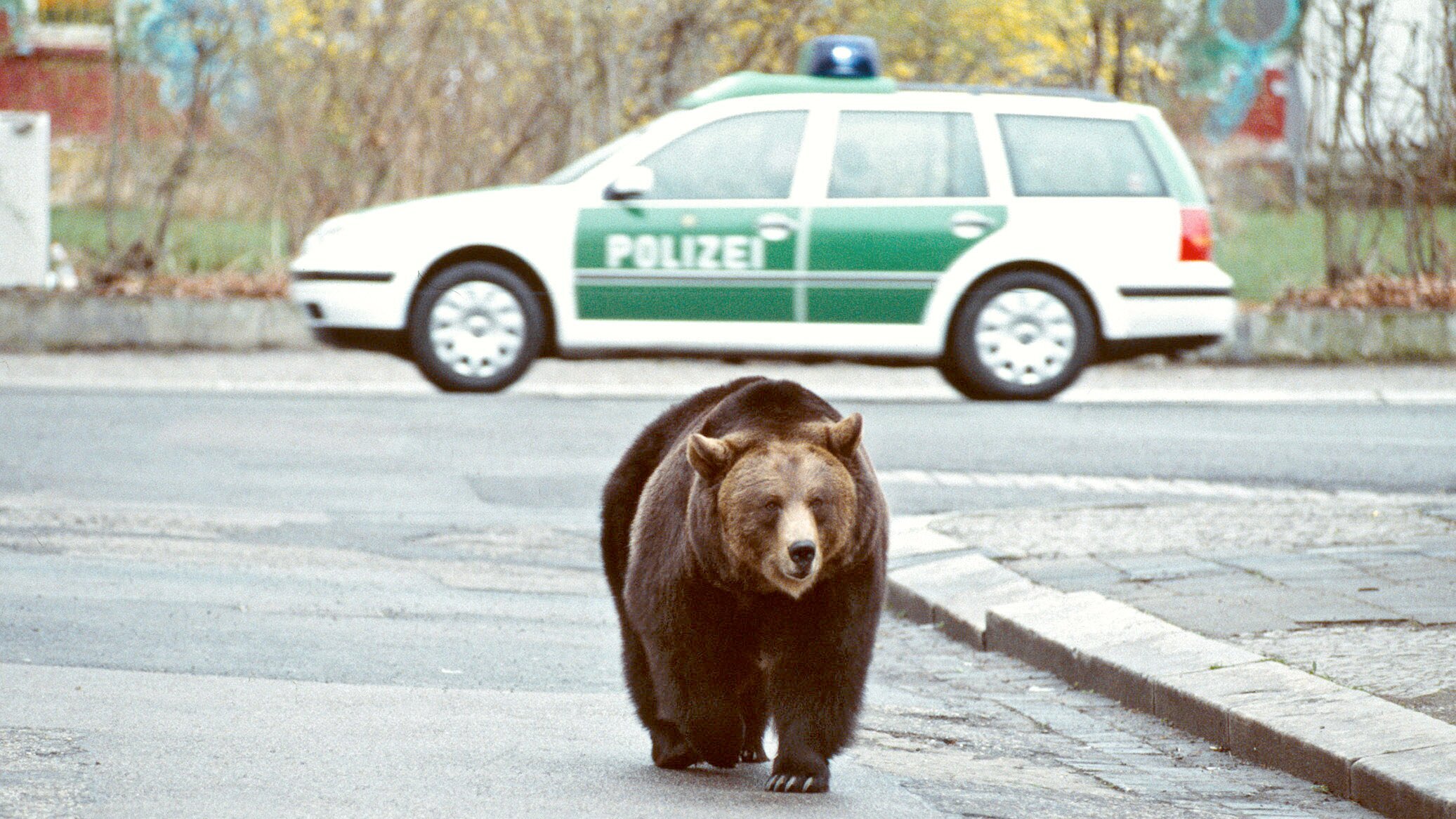 Tierärztin Dr. Mertens