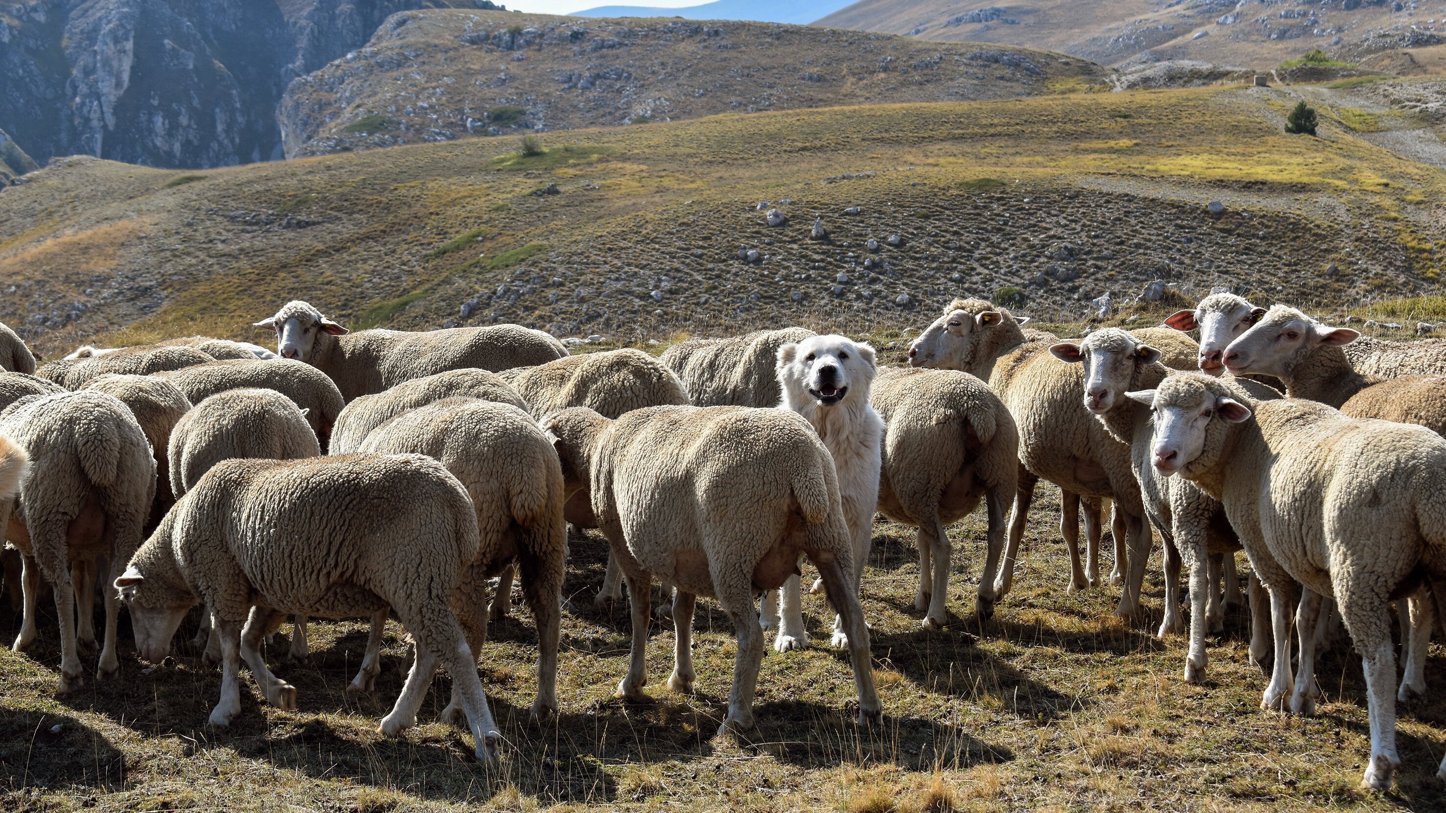 Der Apennin – Italiens Naturparadies