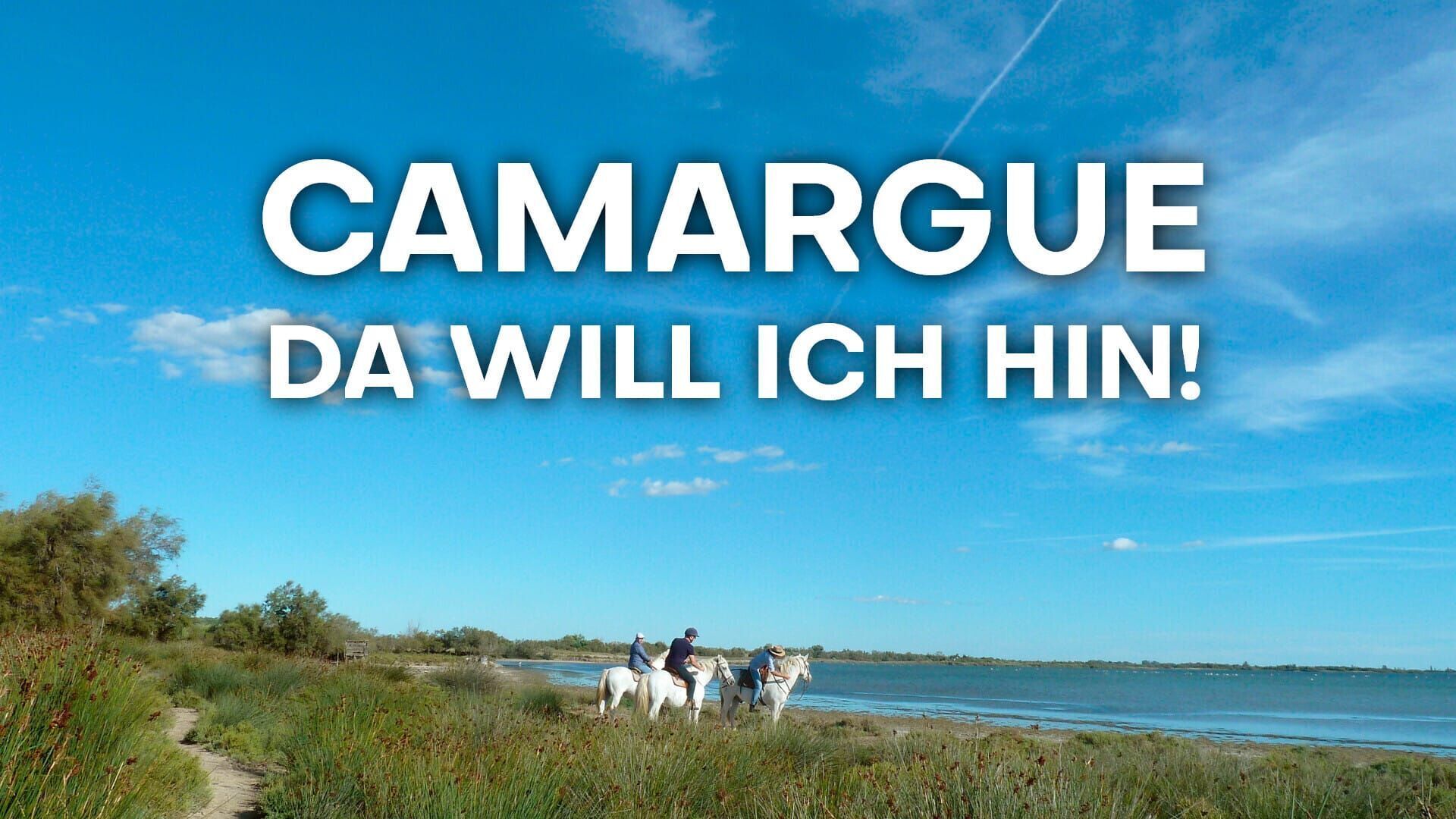 Camargue, da will ich hin!