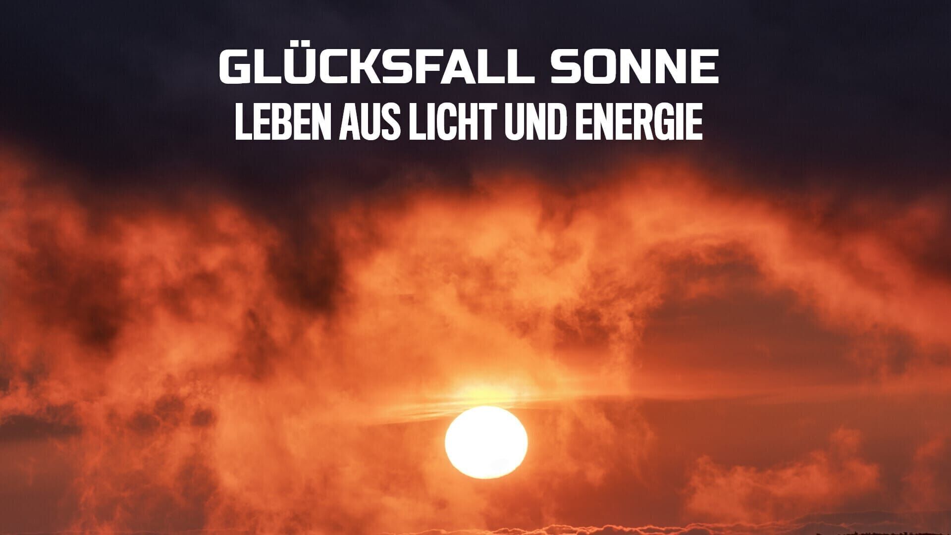 Glücksfall Sonne – Leben aus Licht und Energie