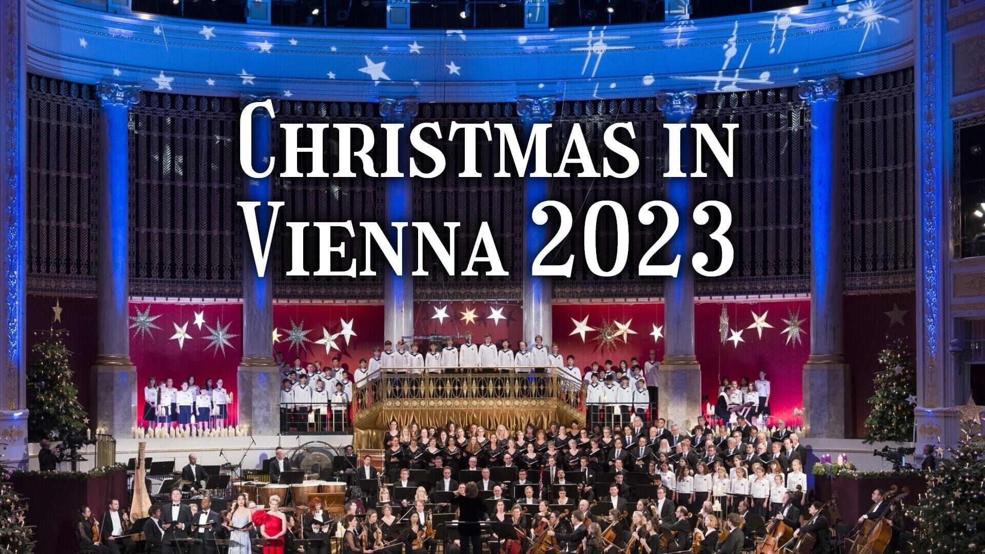 Christmas in Vienna