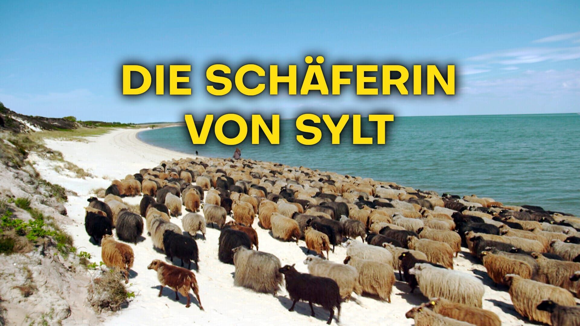 Die Schäferin von Sylt
