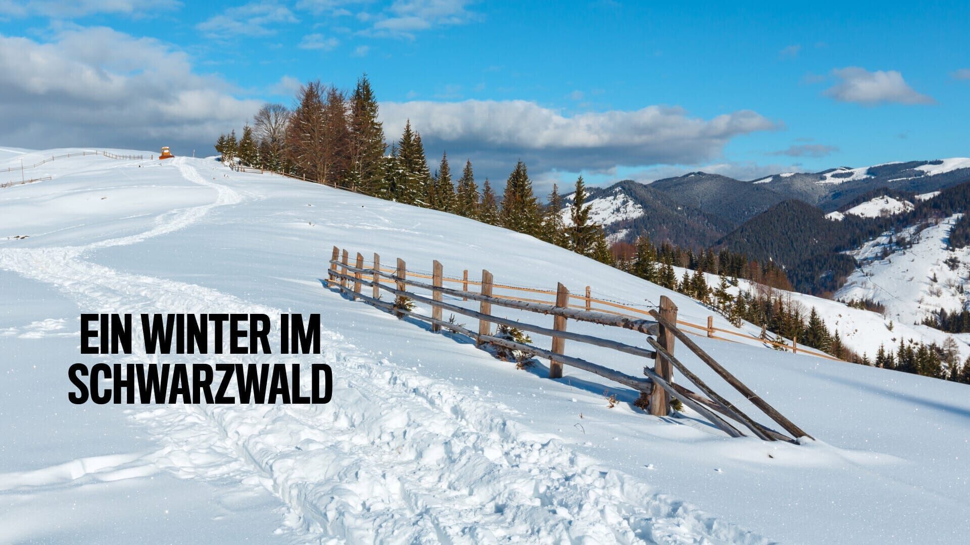 Ein Winter im Schwarzwald