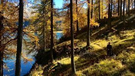 Traumseen der Schweiz: Herbstgeschichten am Wasser