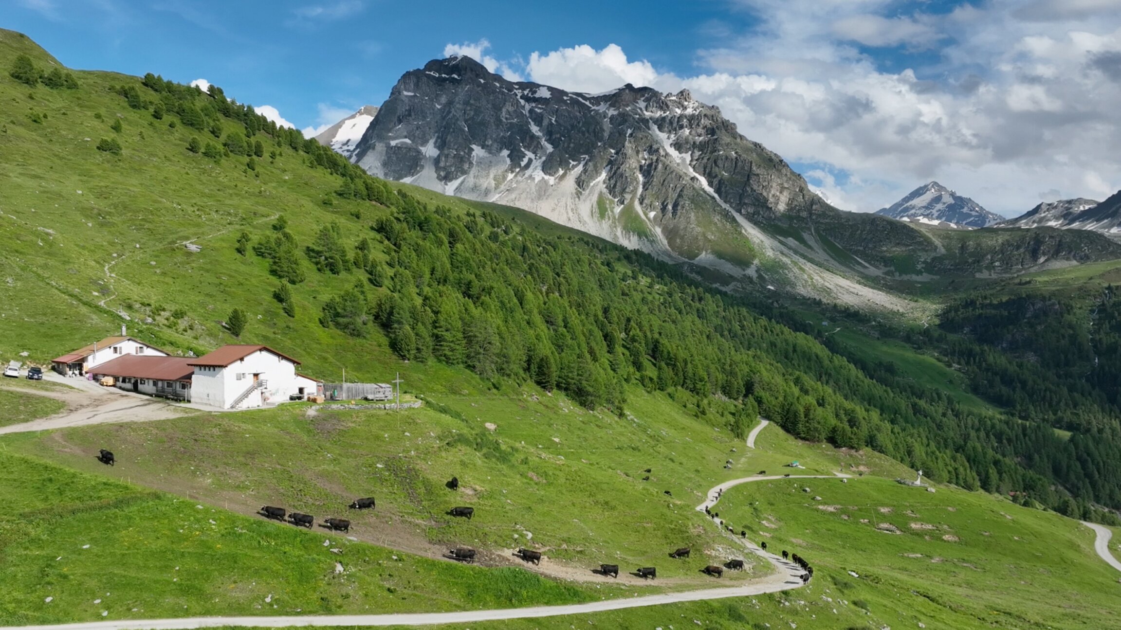 SRF bi de Lüt – Z'Alp