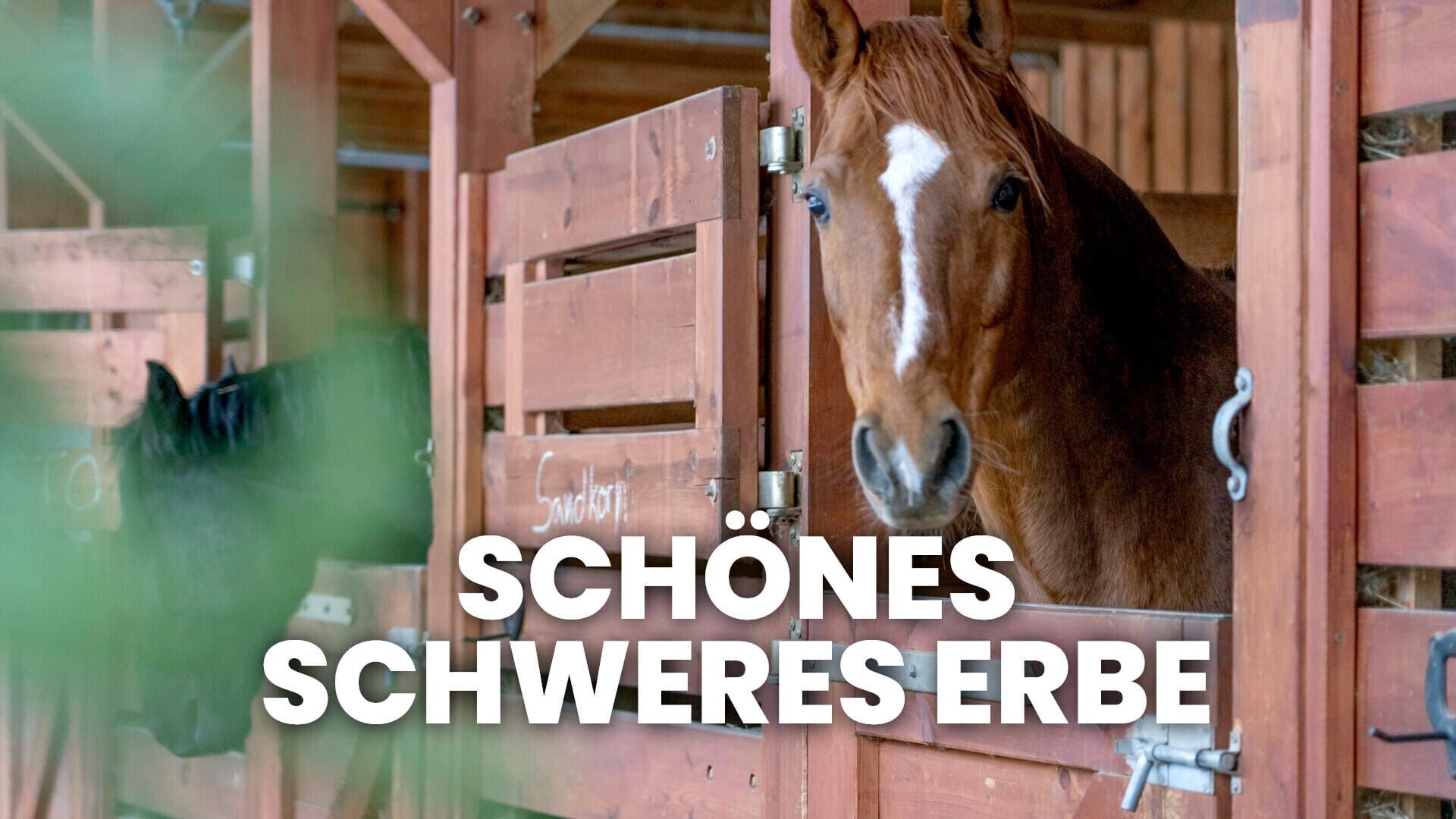 Schönes schweres Erbe