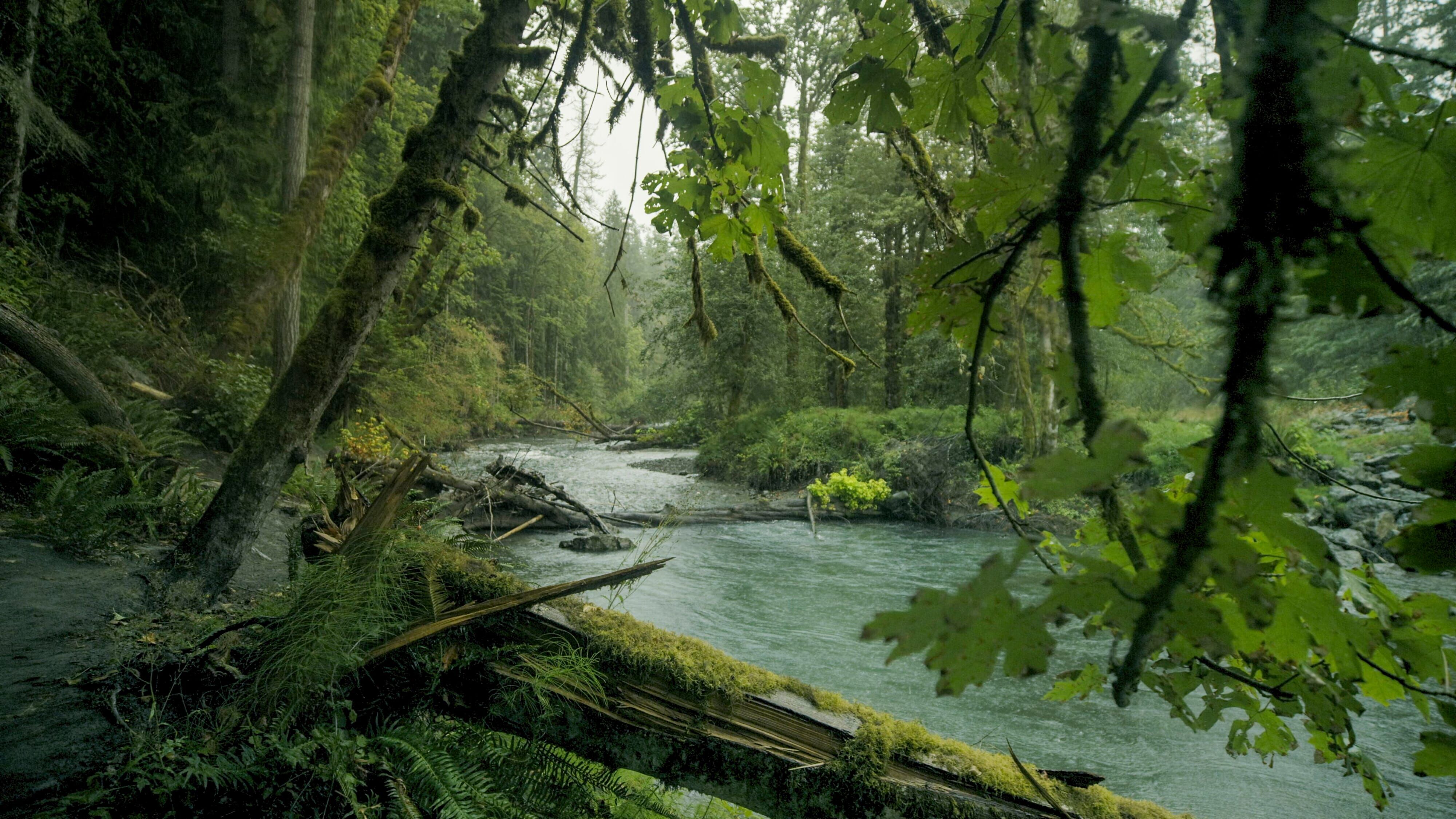 Der Mensch, die Natur, das Abenteuer