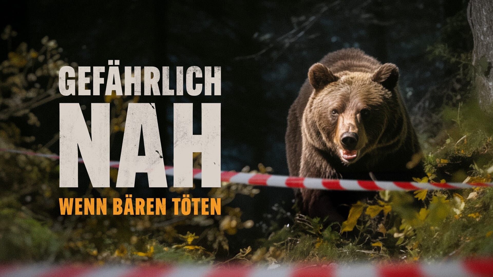 Gefährlich nah – Wenn Bären töten