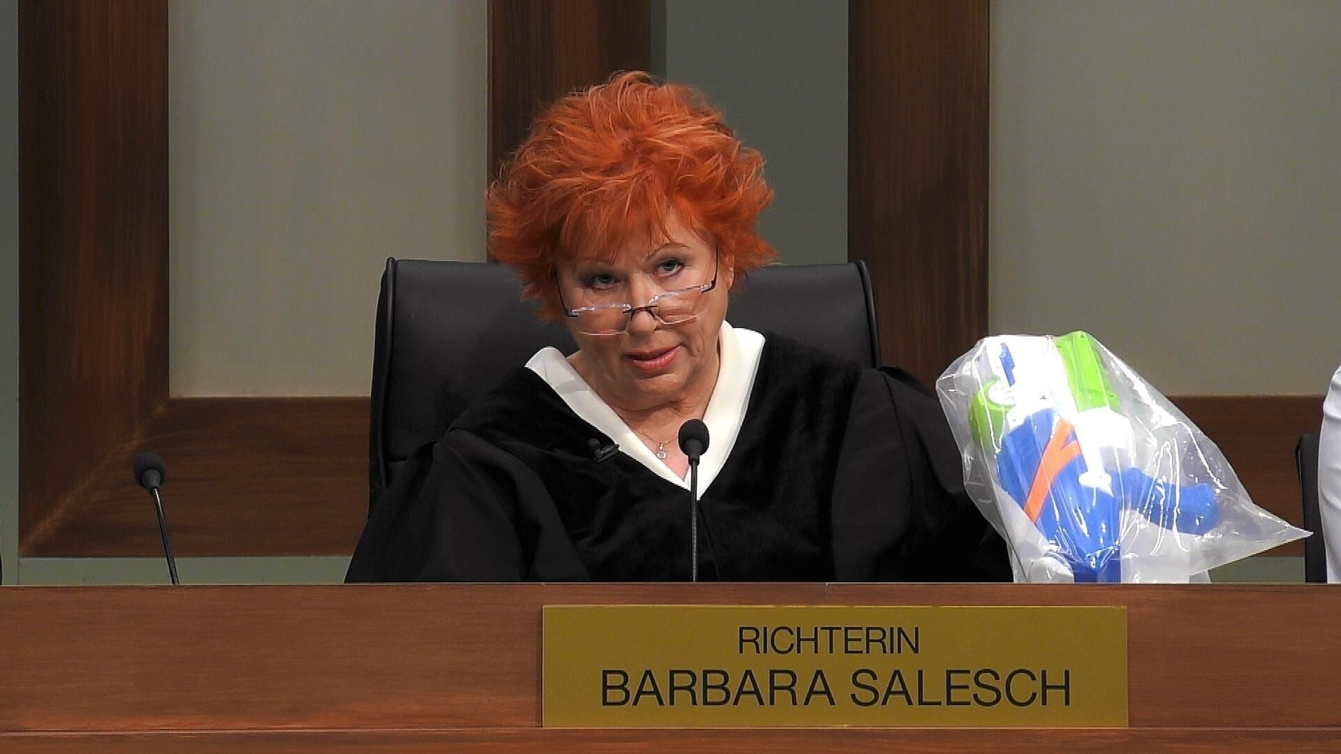 Barbara Salesch – Das Strafgericht