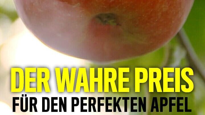 Der wahre Preis für den perfekten Apfel