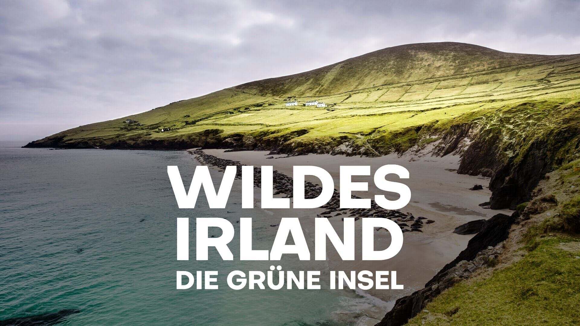 Wildes Irland – Die grüne Insel