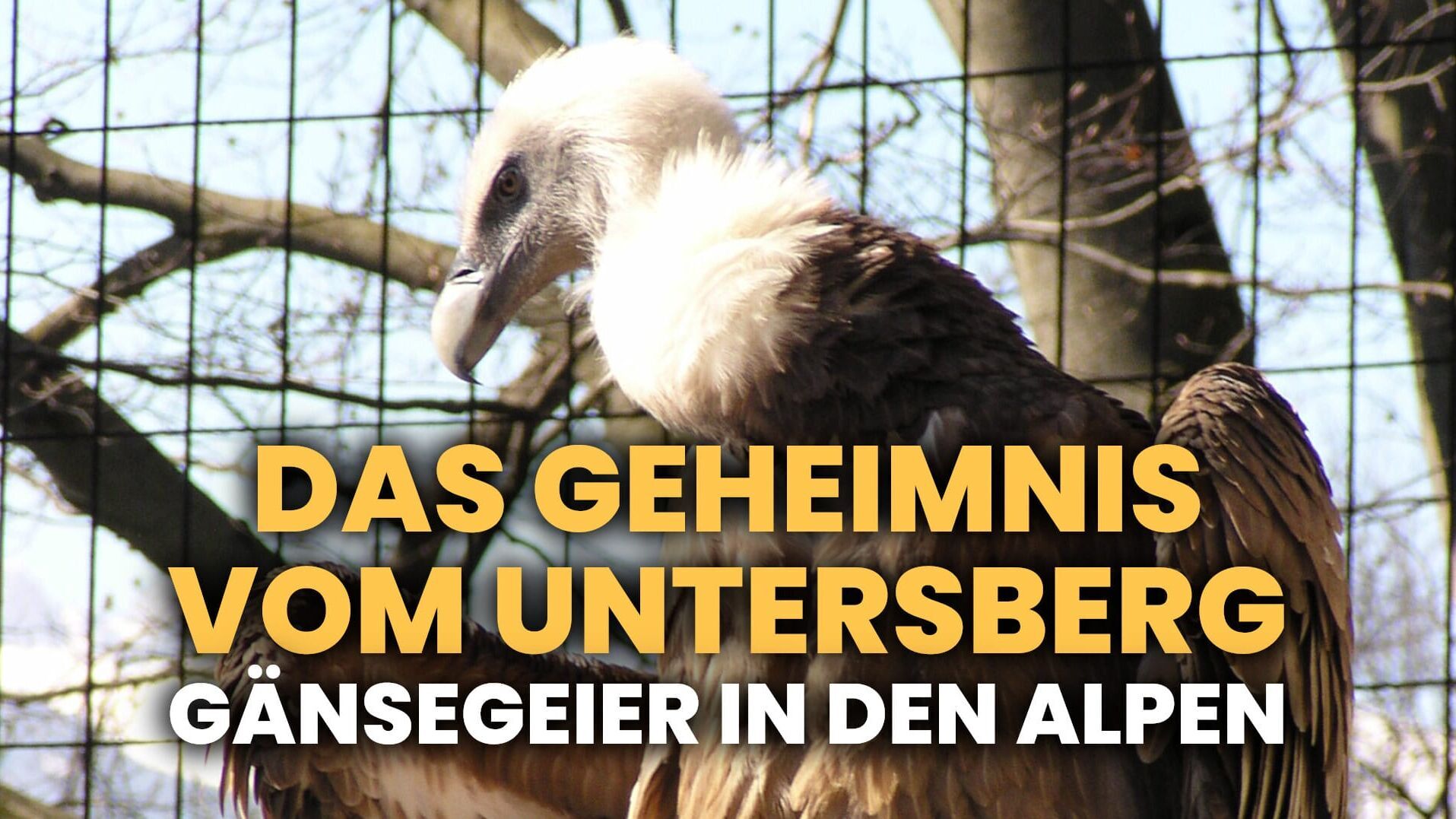 Das Geheimnis vom Untersberg