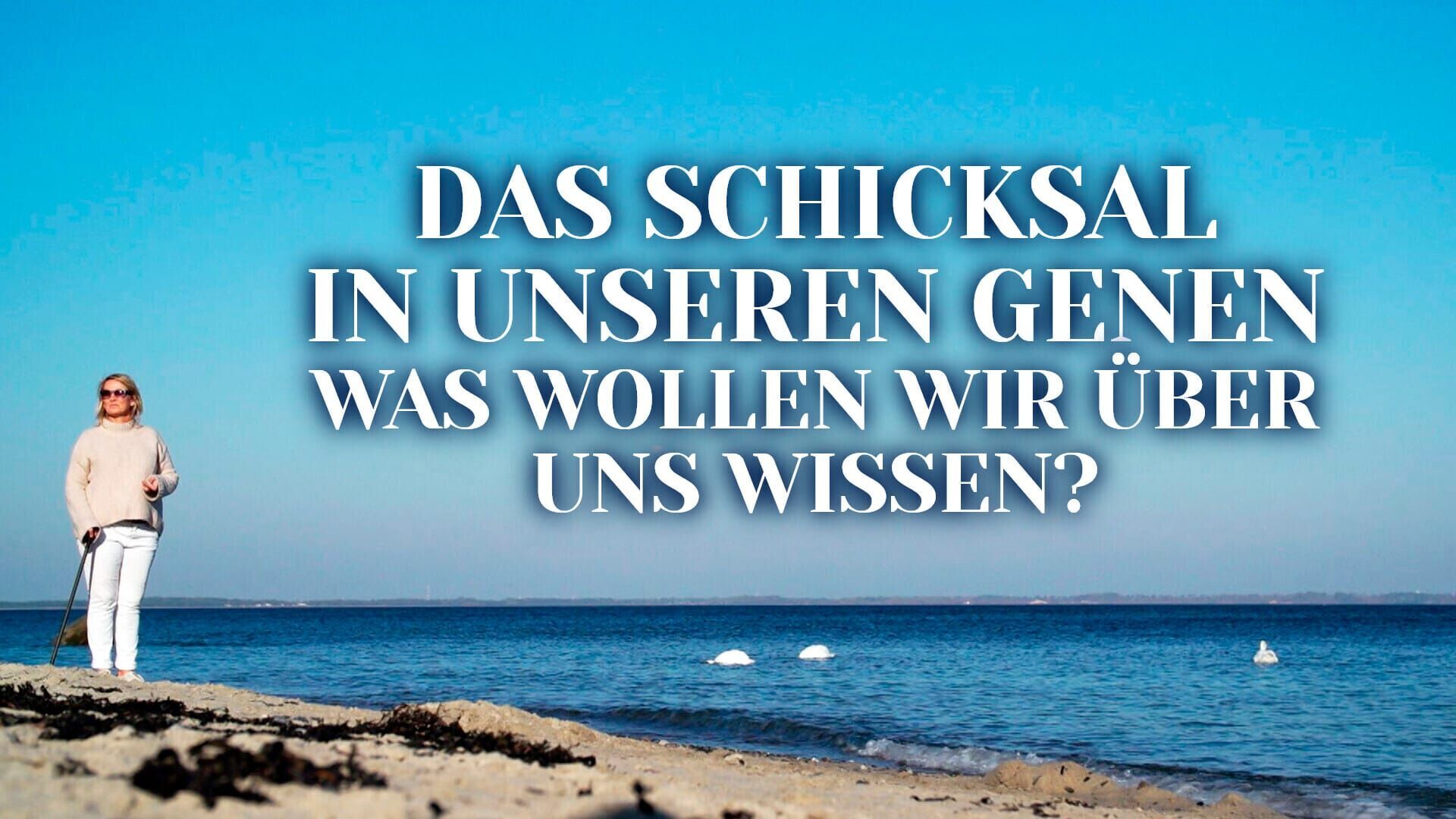 Das Schicksal in unseren Genen