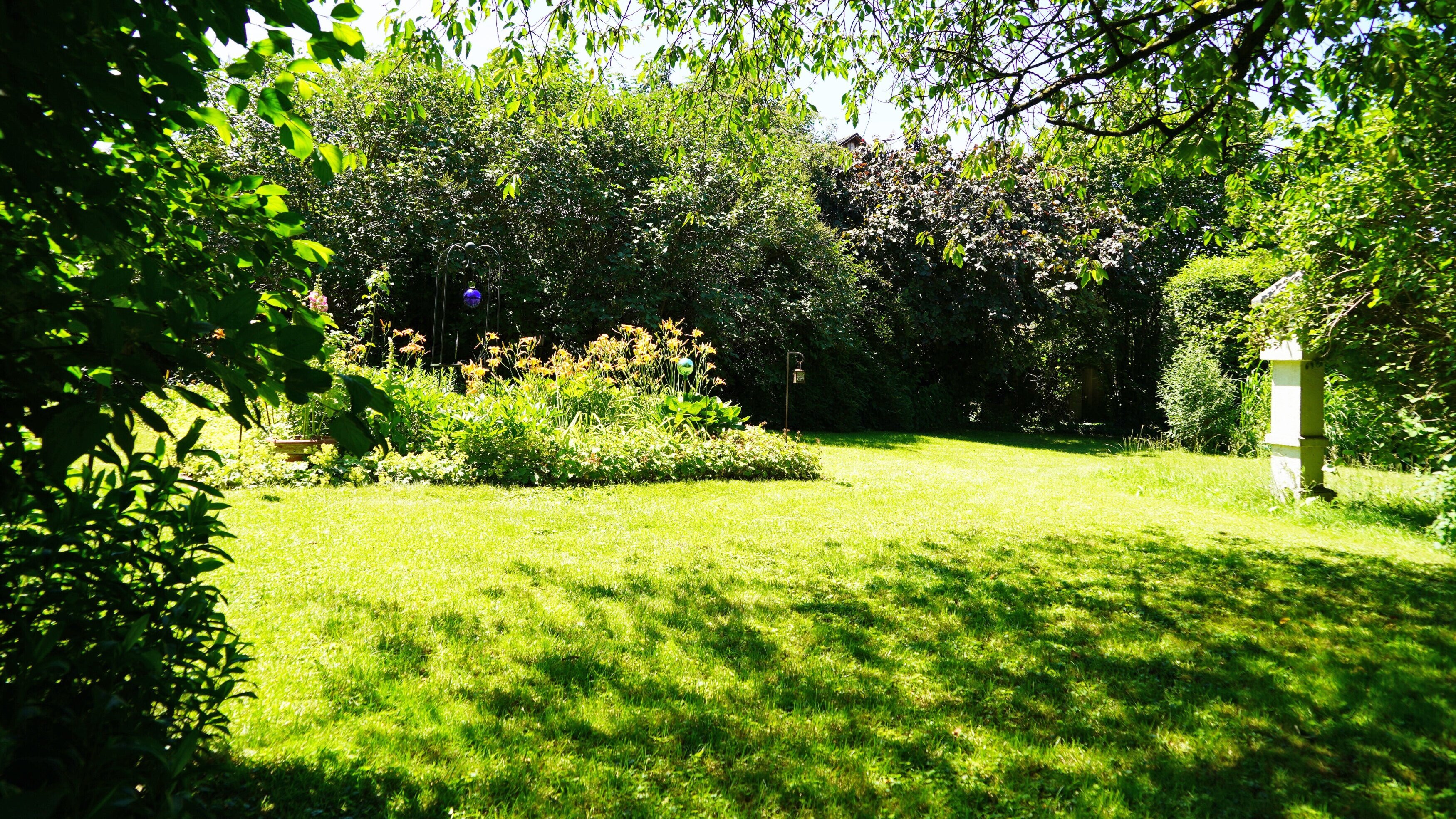 Natur im Garten