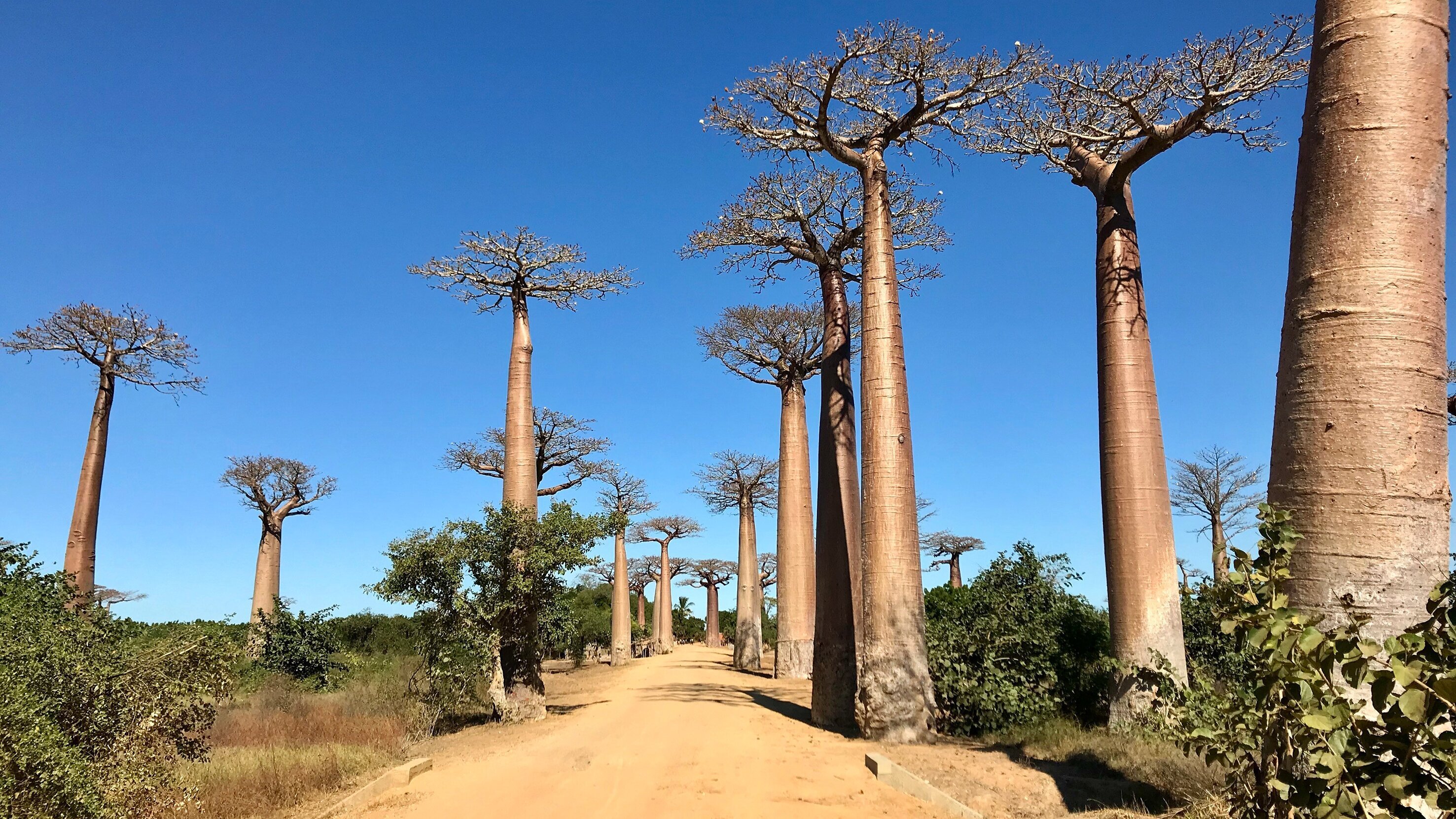 Unbekanntes Madagaskar