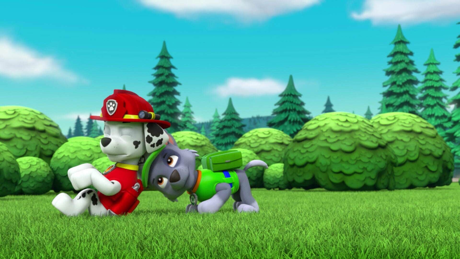 PAW Patrol – Helfer auf vier Pfoten