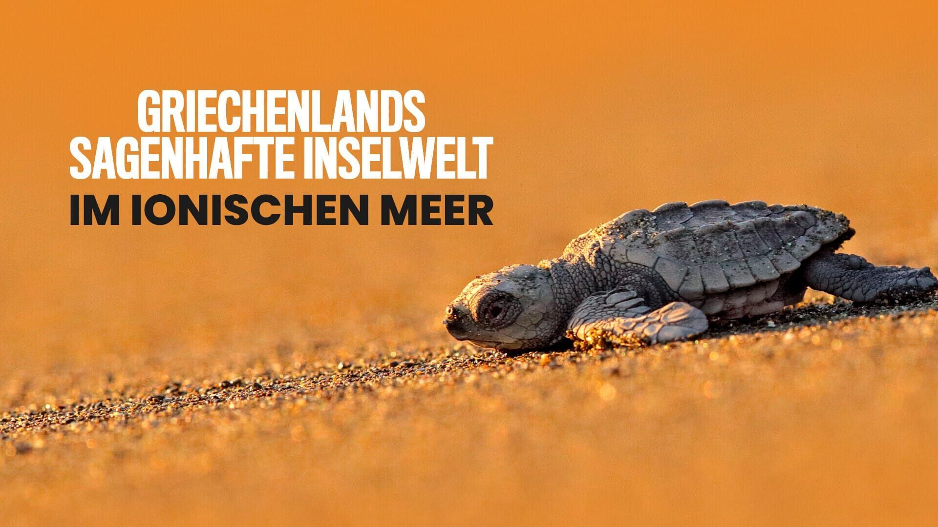 Griechenlands sagenhafte Inselwelt – Im Ionischen Meer