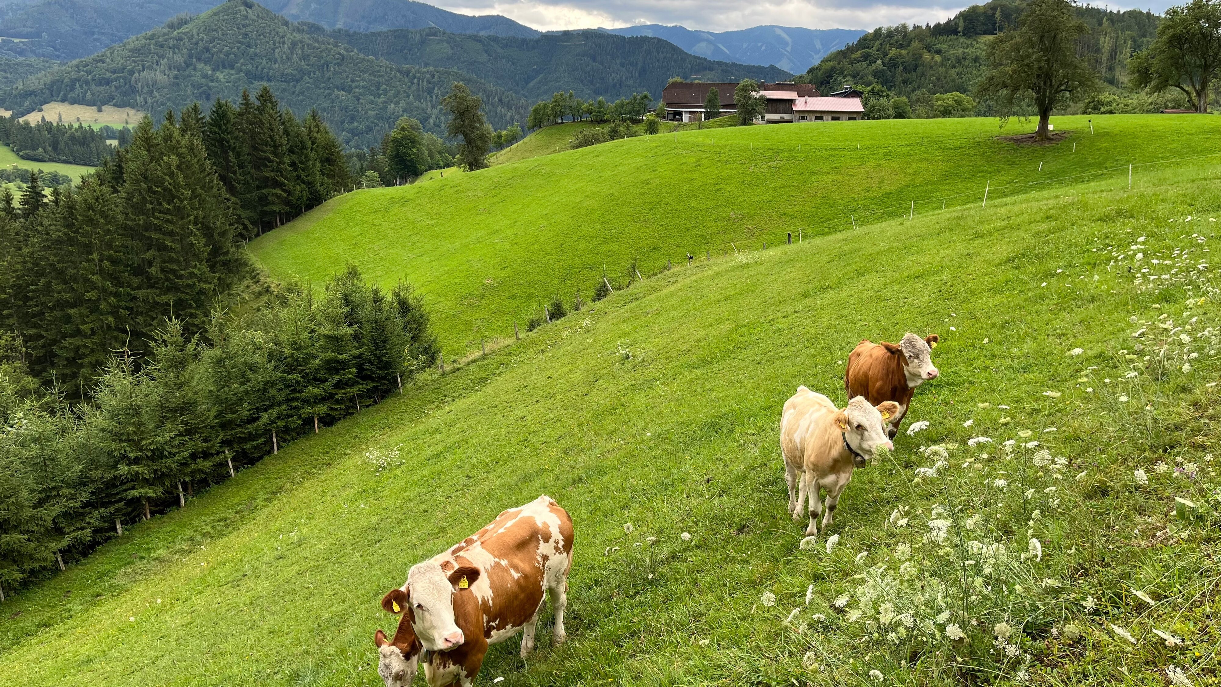 Österreichs Bergdörfer