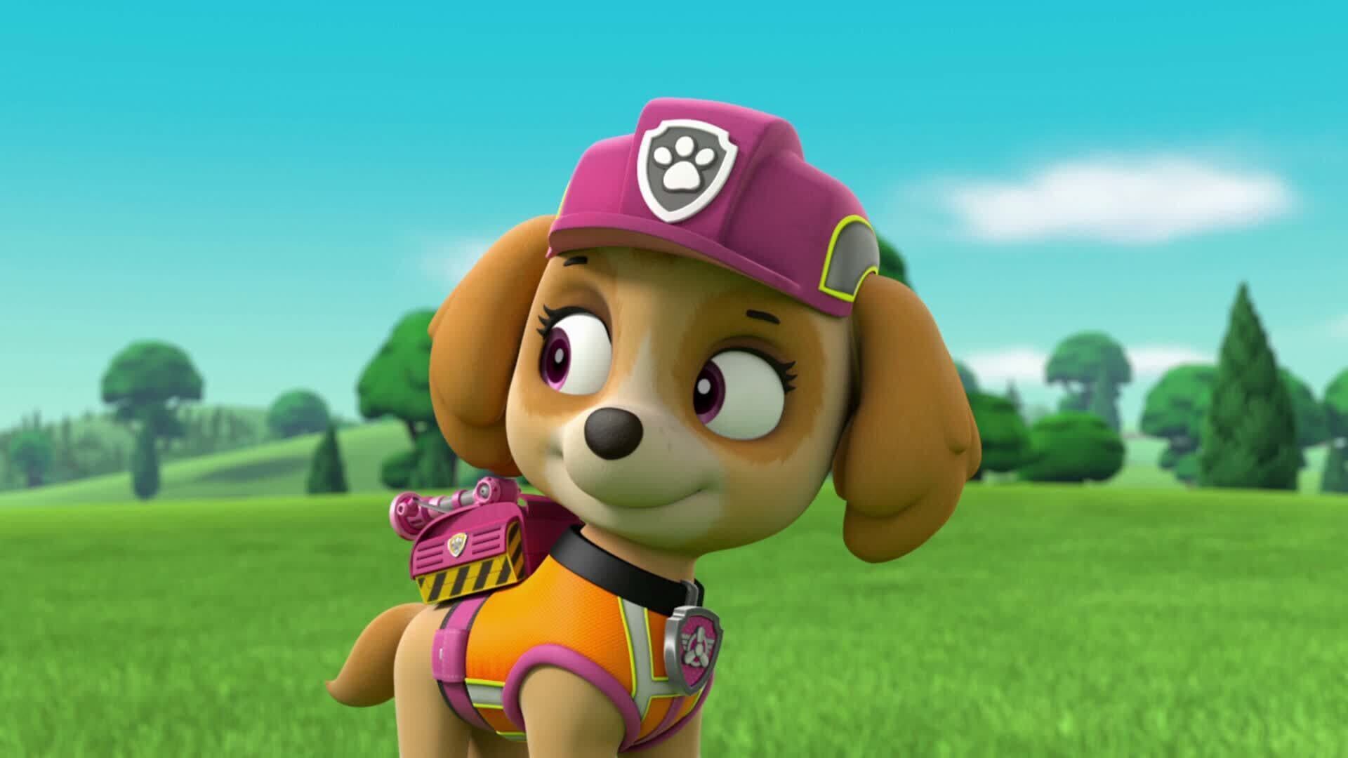 PAW Patrol – Helfer auf vier Pfoten