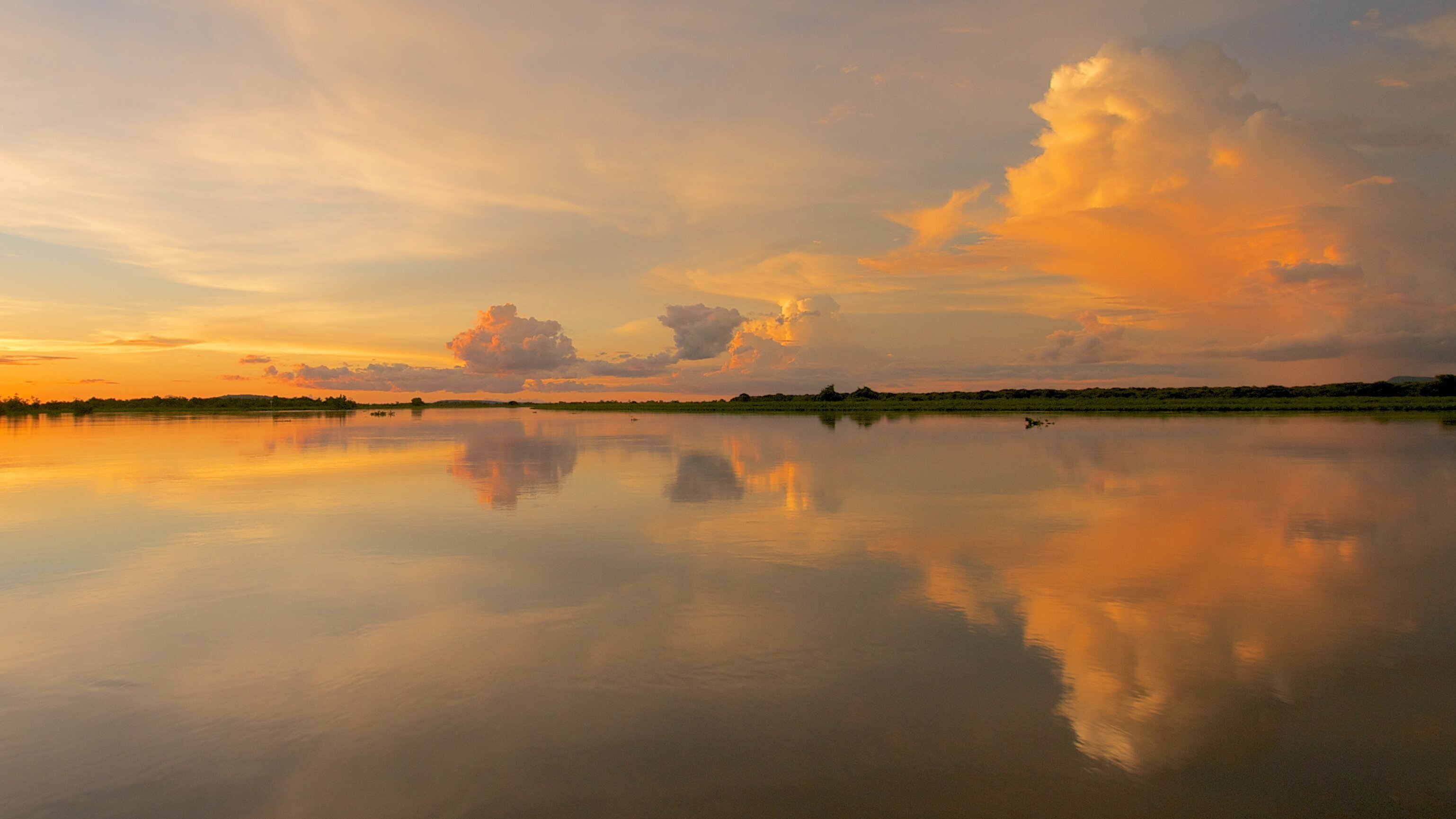 Wildes Brasilien