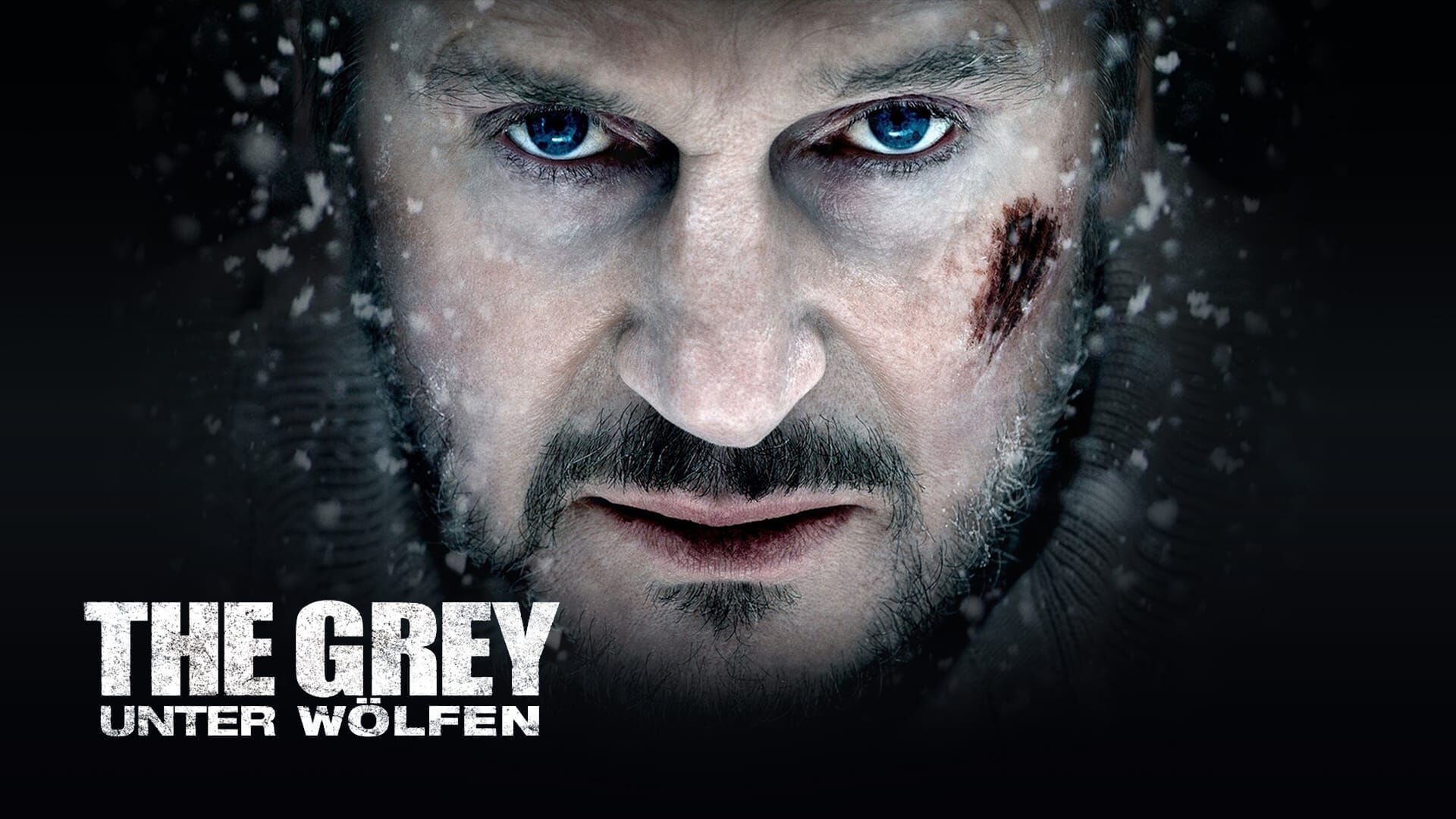 The Grey – Unter Wölfen