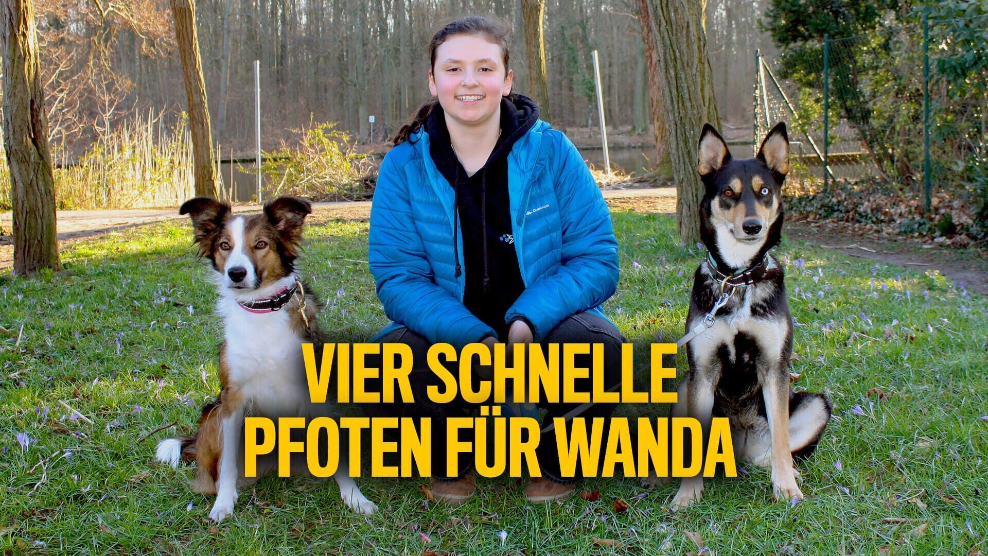 Vier schnelle Pfoten für Wanda