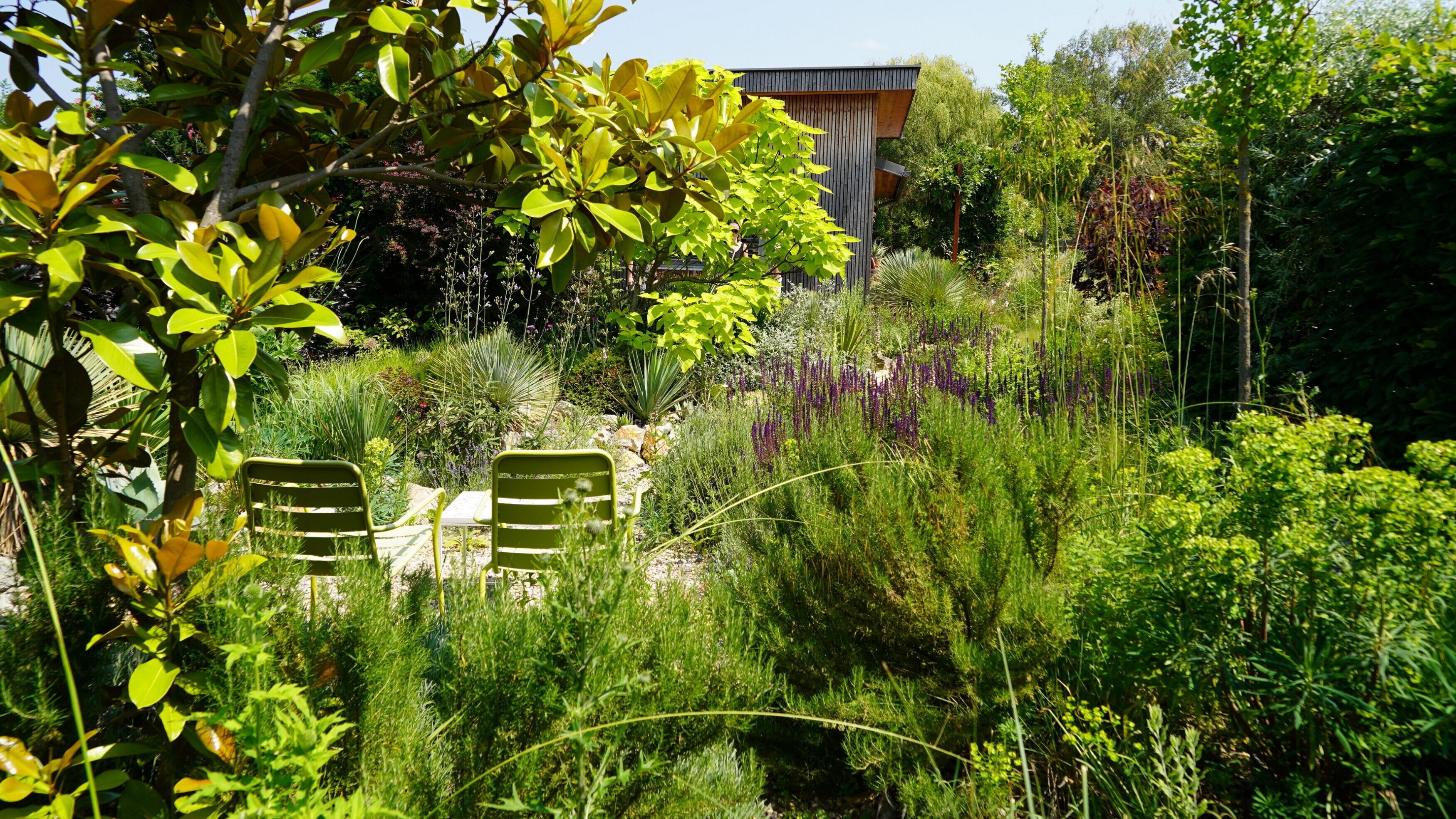 Natur im Garten