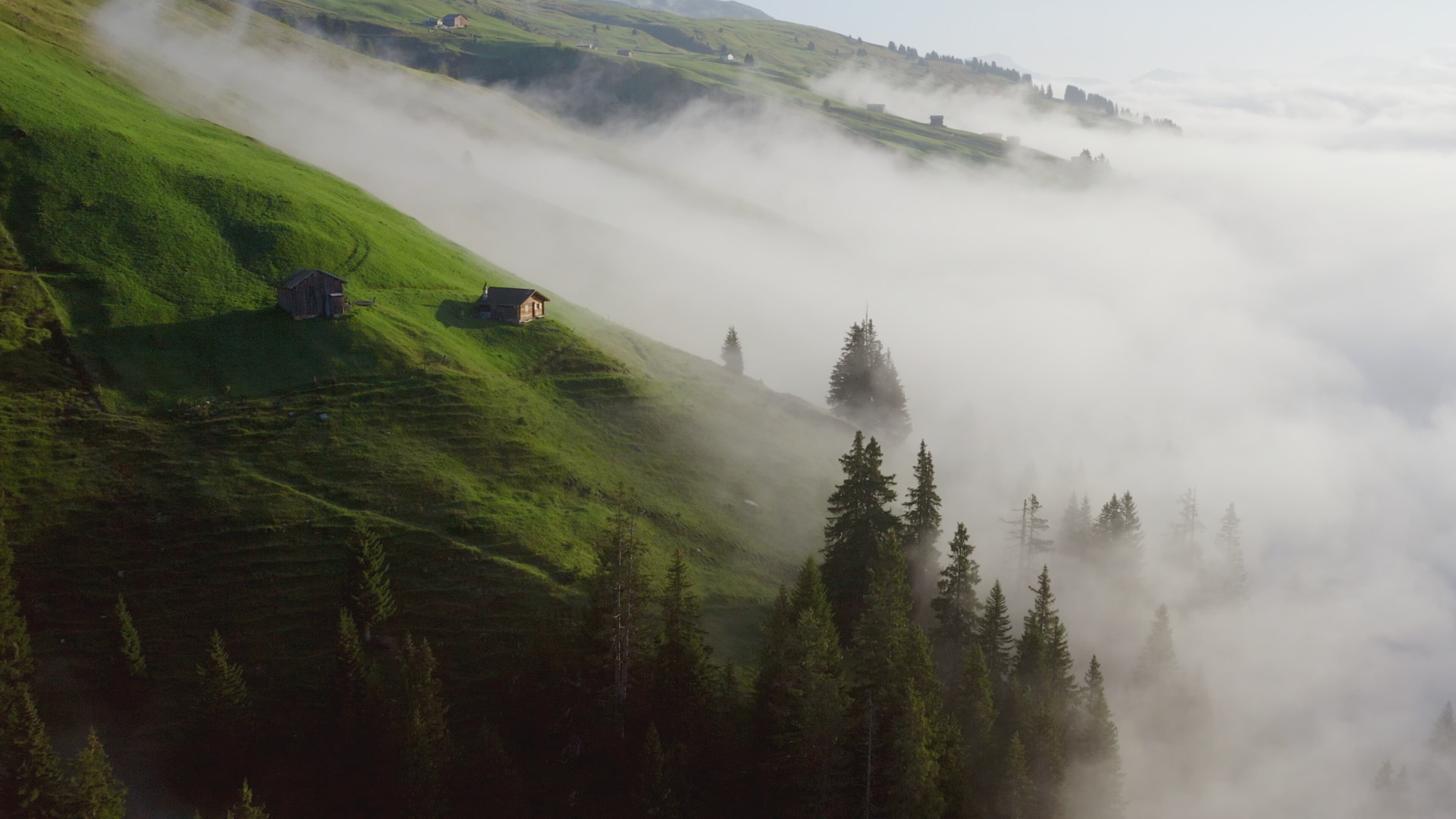 Wilde Schweiz II: Naturpark Beverin