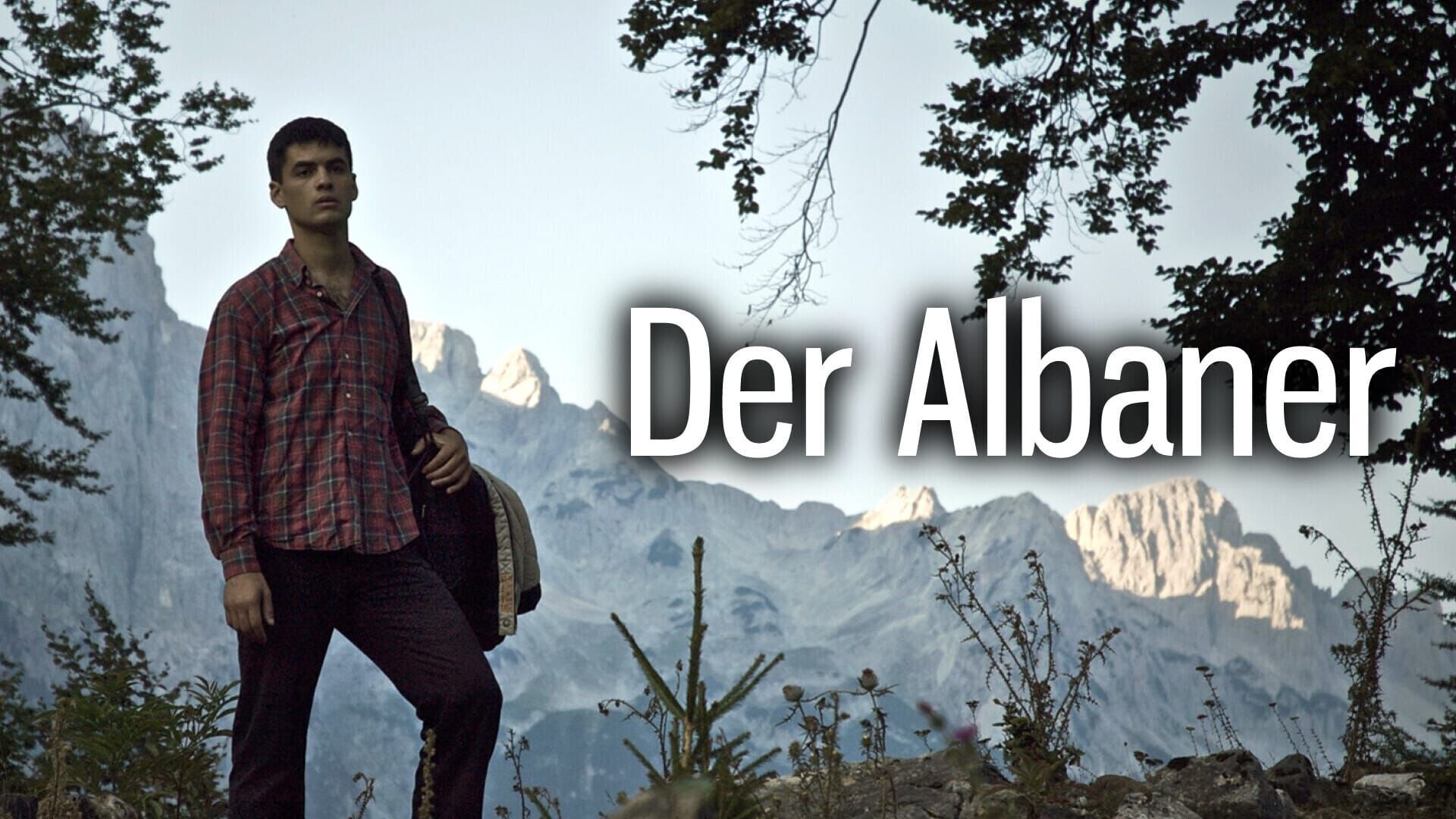 Der Albaner