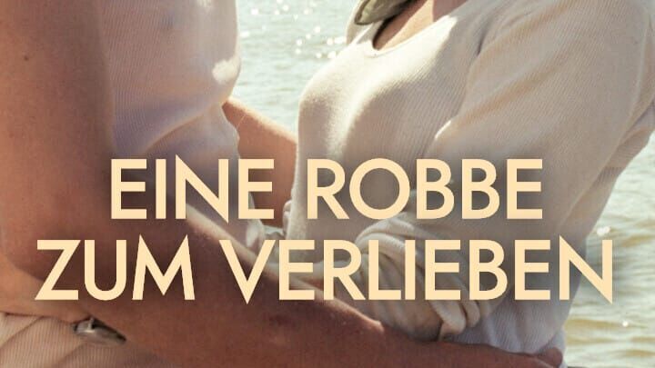 Eine Robbe zum Verlieben