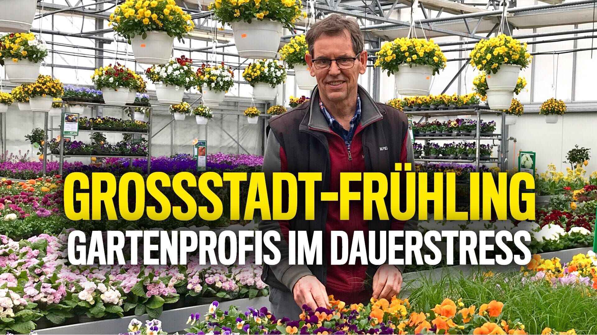 Großstadt-Frühling