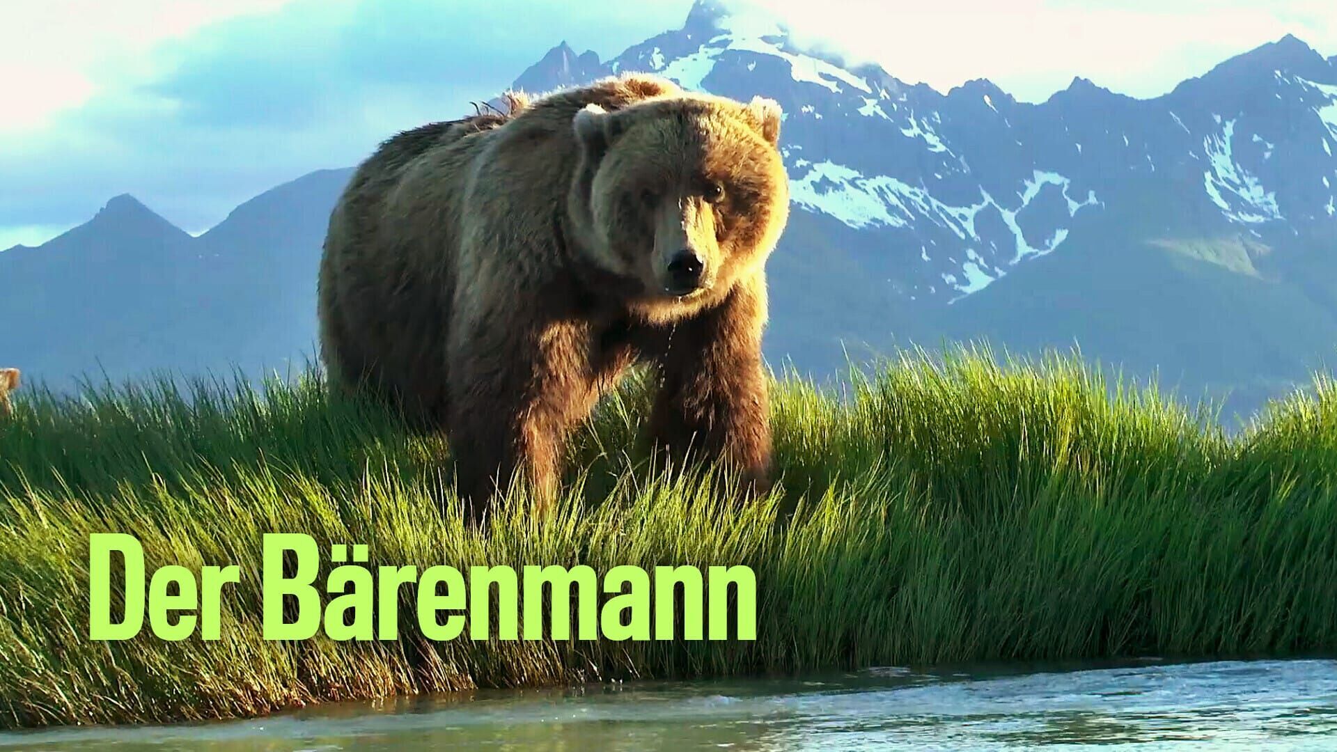 Der Bärenmann