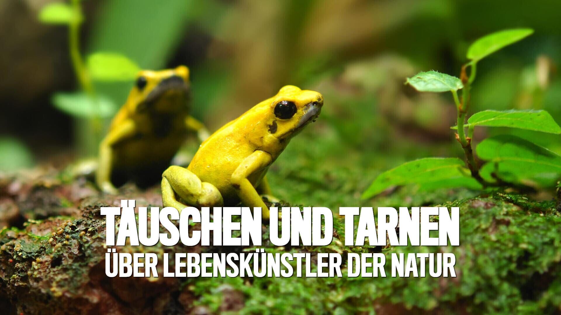 Täuschen und Tarnen – Über Lebenskünstler der Natur