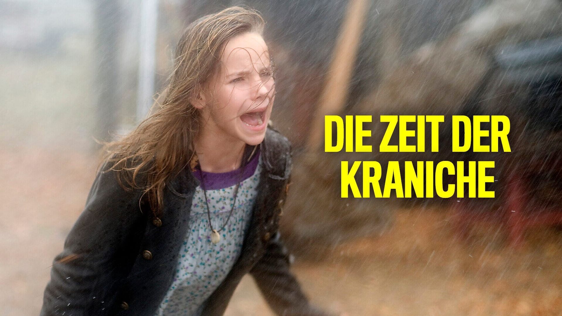 Die Zeit der Kraniche