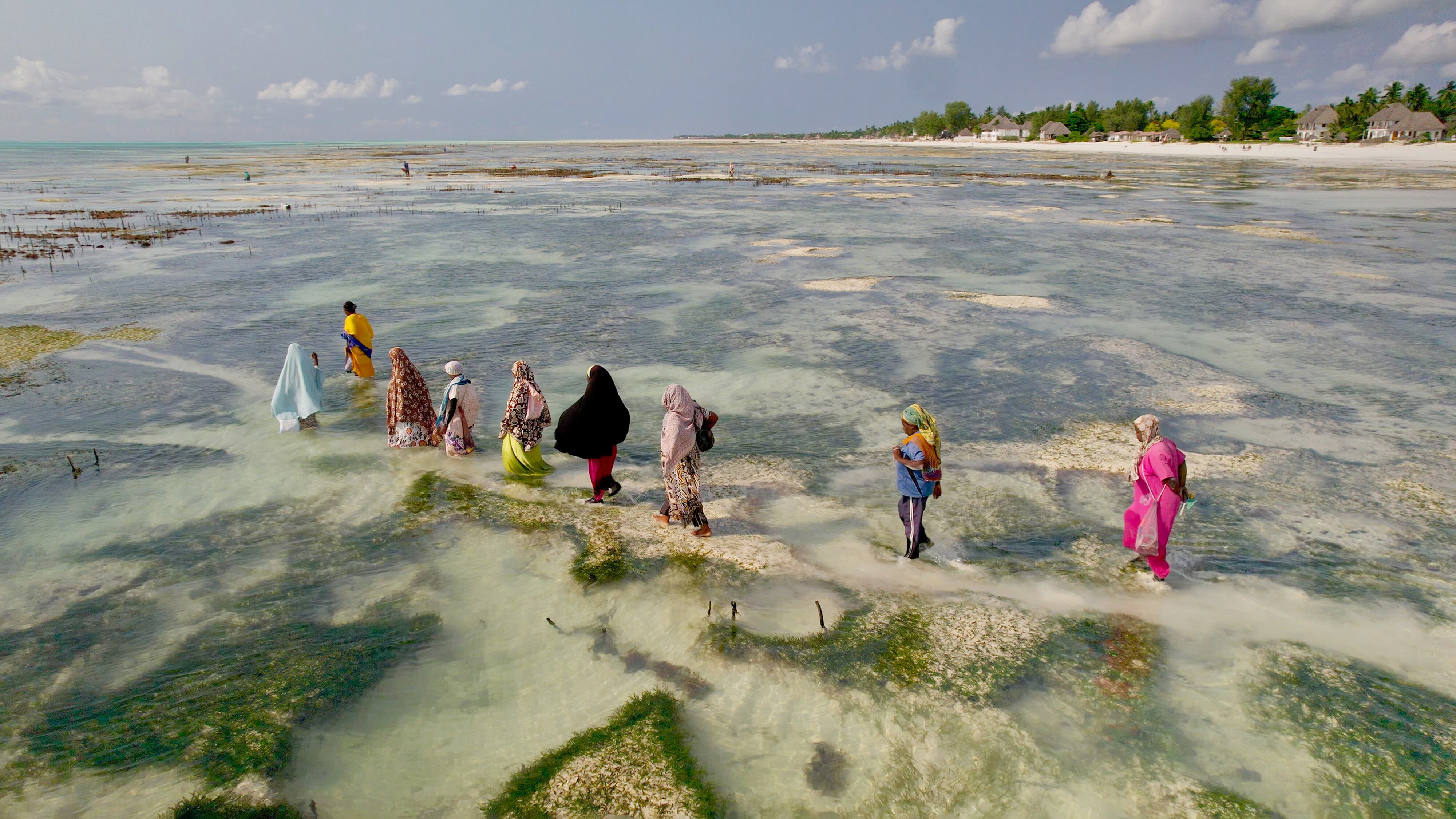 Sansibar – Legende und Lebenslust