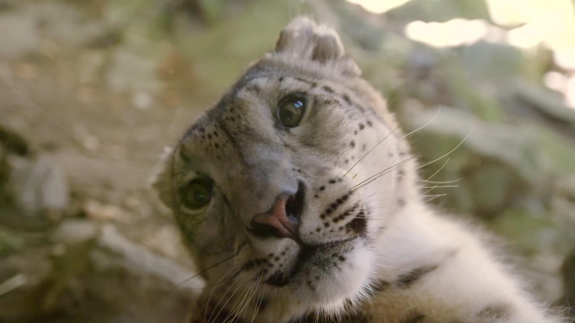 Bronx Zoo – Tierpark der Superlative