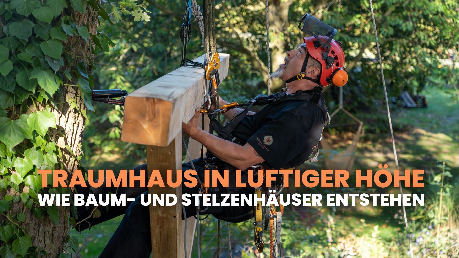 Traumhaus in luftiger Höhe