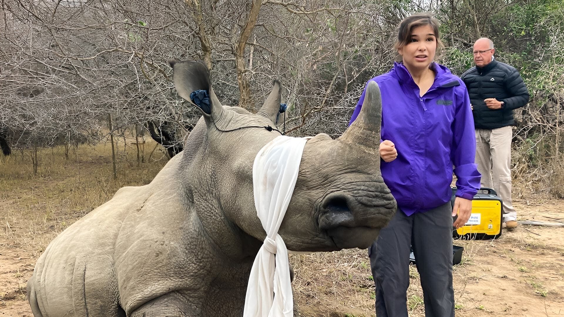 Anna und die wilden Tiere