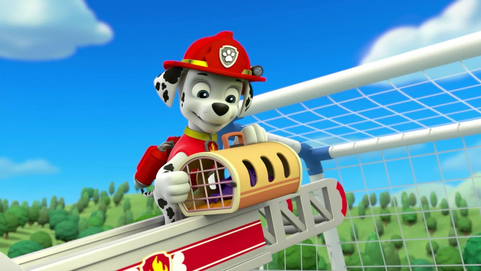 PAW Patrol – Helfer auf vier Pfoten