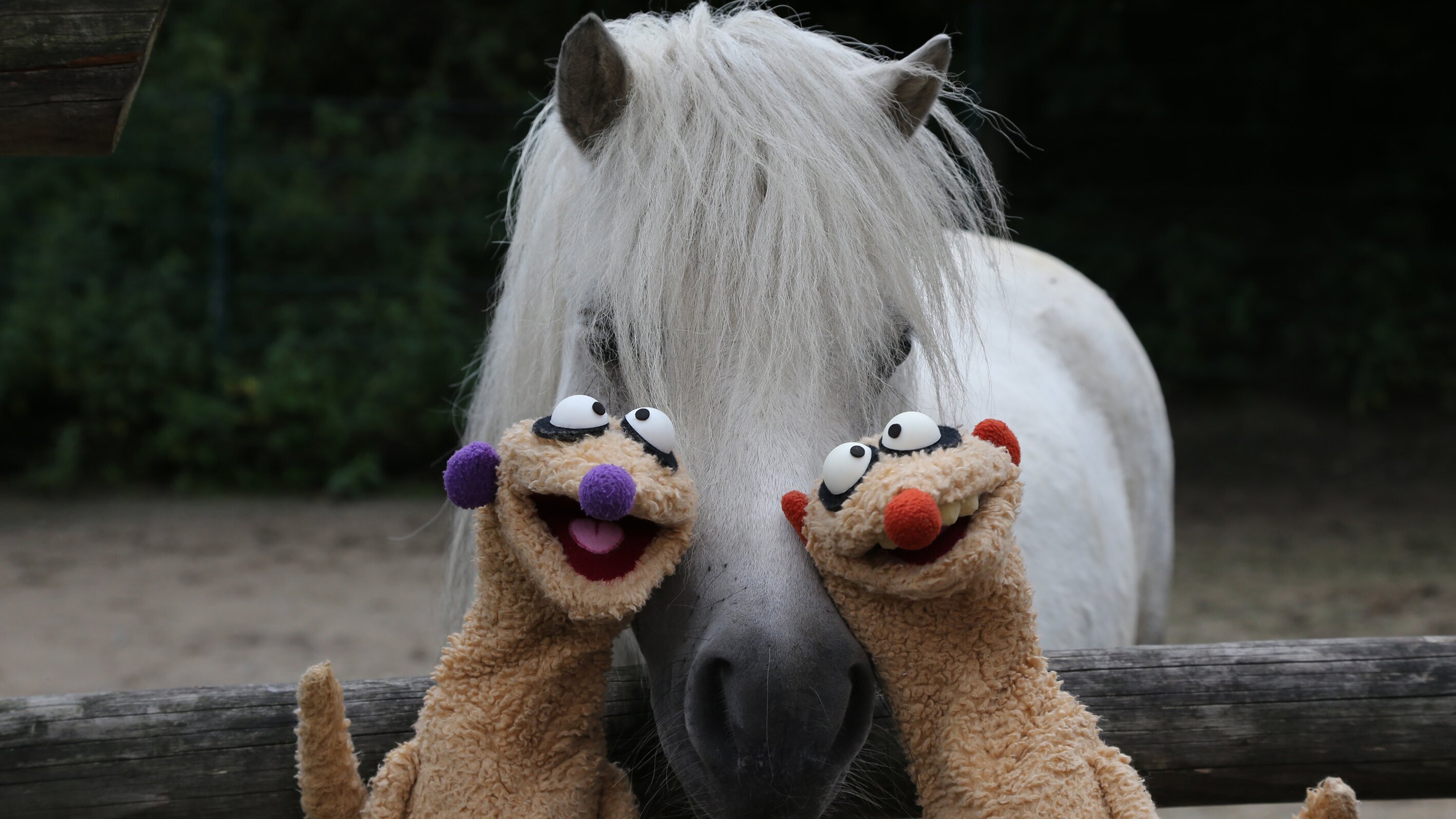 Unser Sandmännchen
