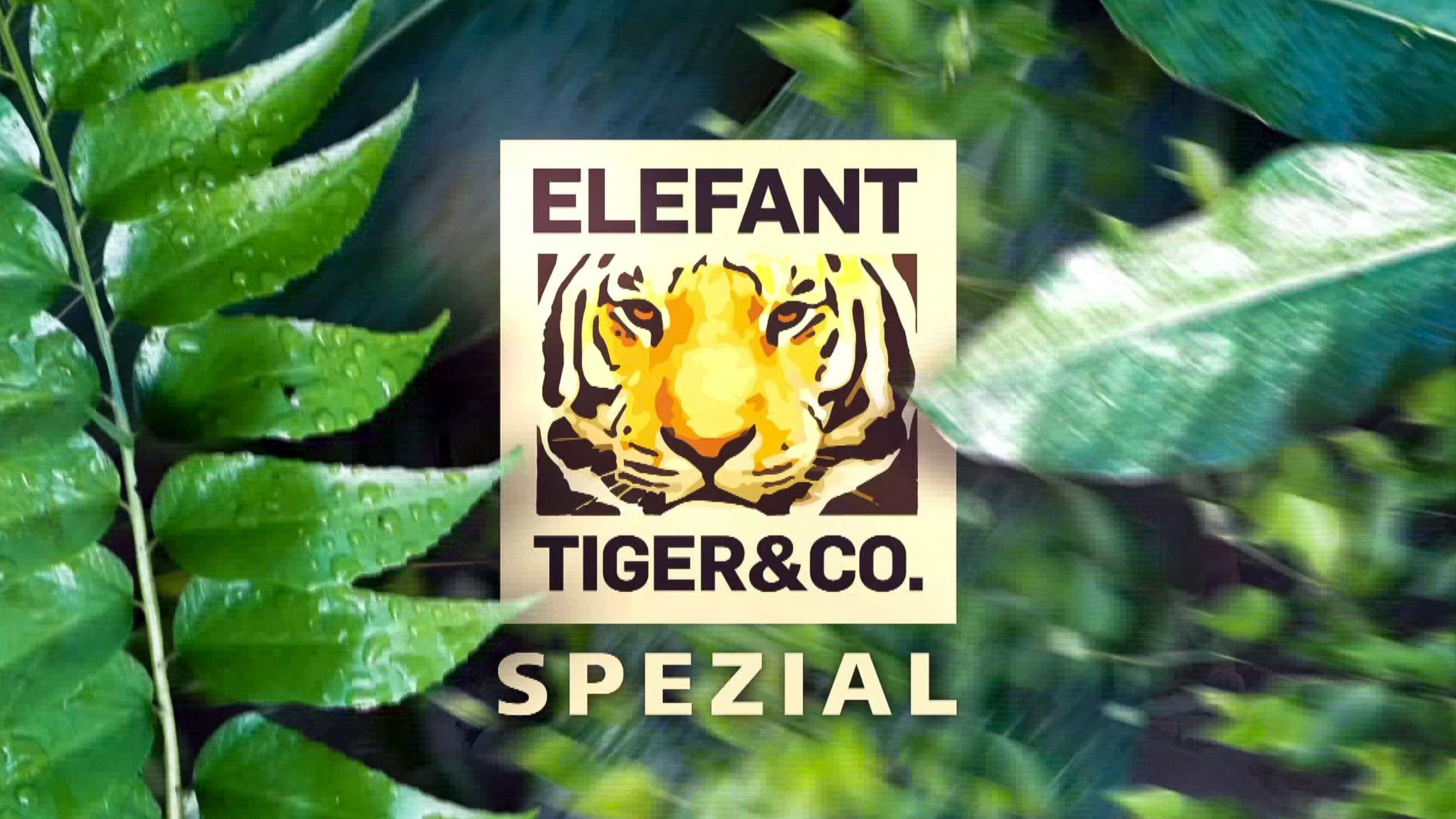 Elefant, Tiger & Co