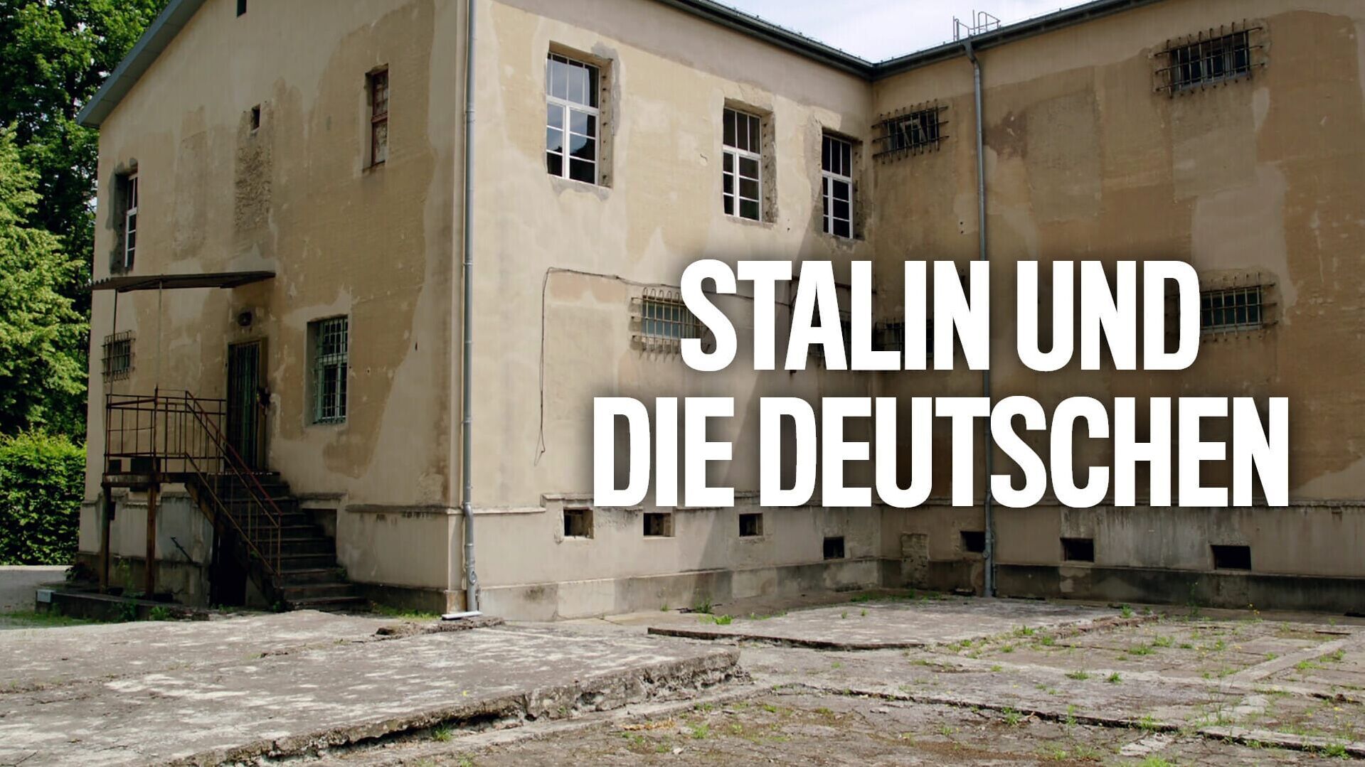 Stalin und die Deutschen