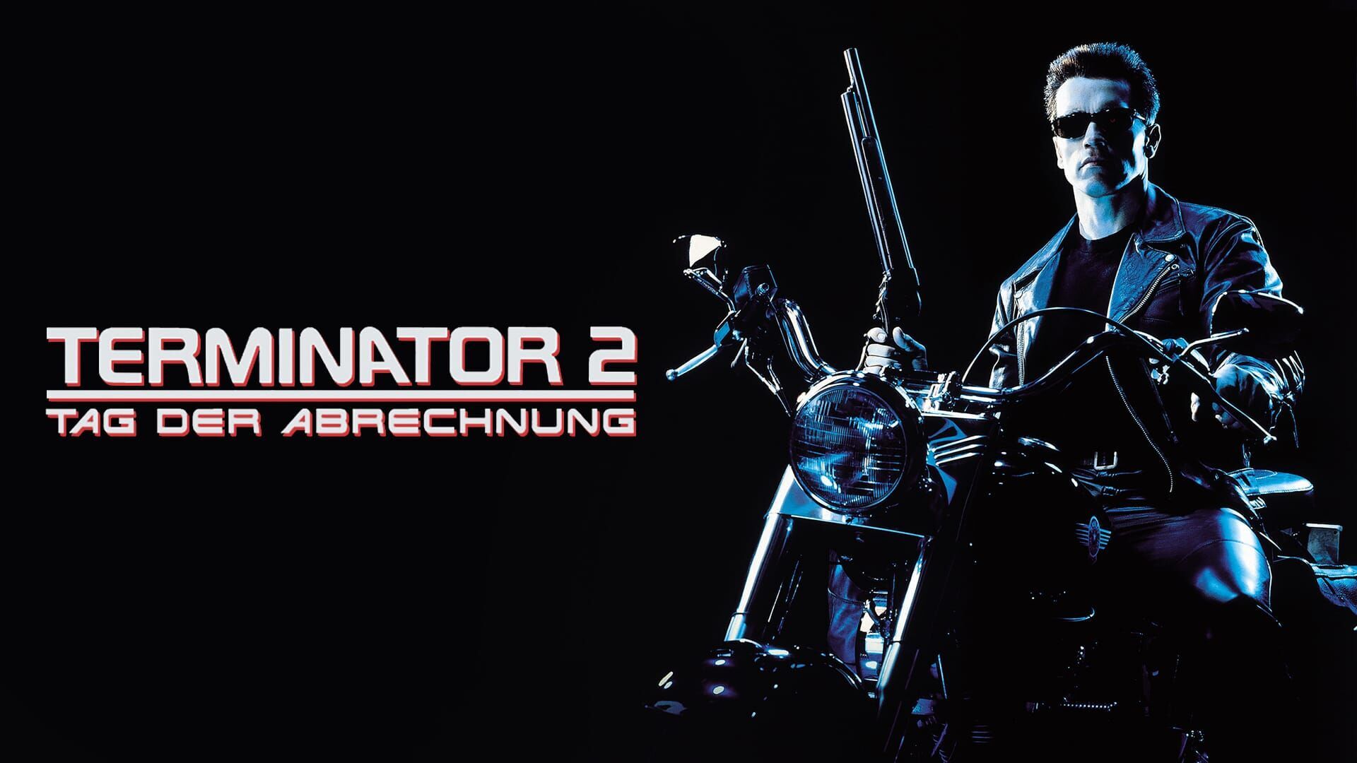 Terminator 2 – Tag der Abrechnung