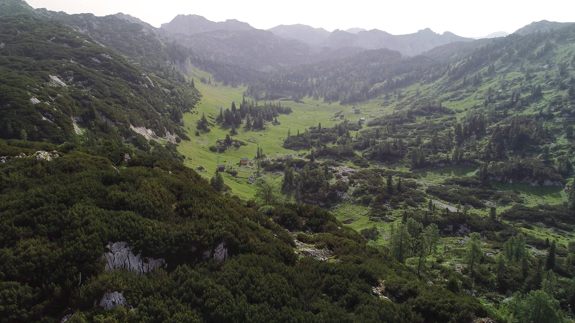 Das Tote Gebirge – Wunderwelt des Lebens