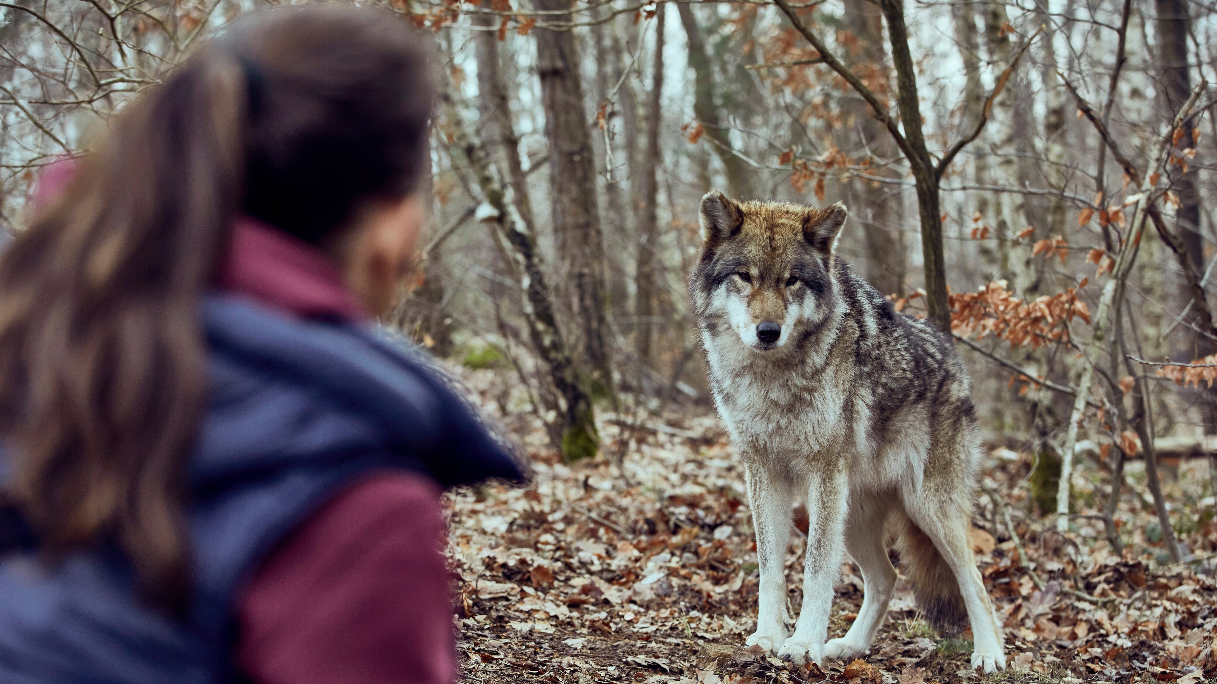 Wolfsland – Schwarzer Spiegel