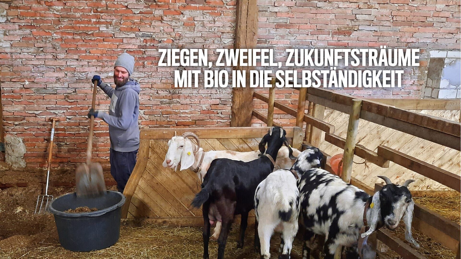 Ziegen, Zweifel, Zukunftsträume