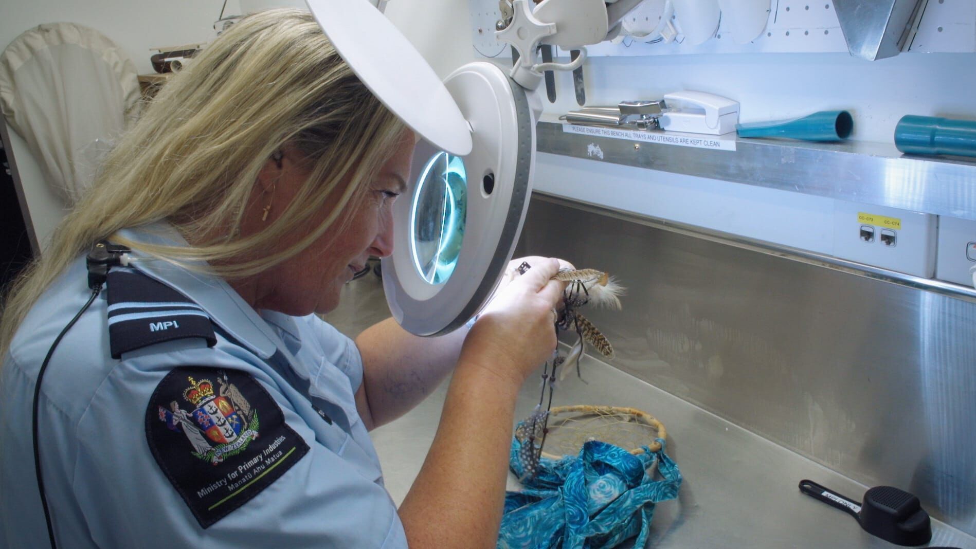 Border Patrol New Zealand – Einsatz an der Grenze