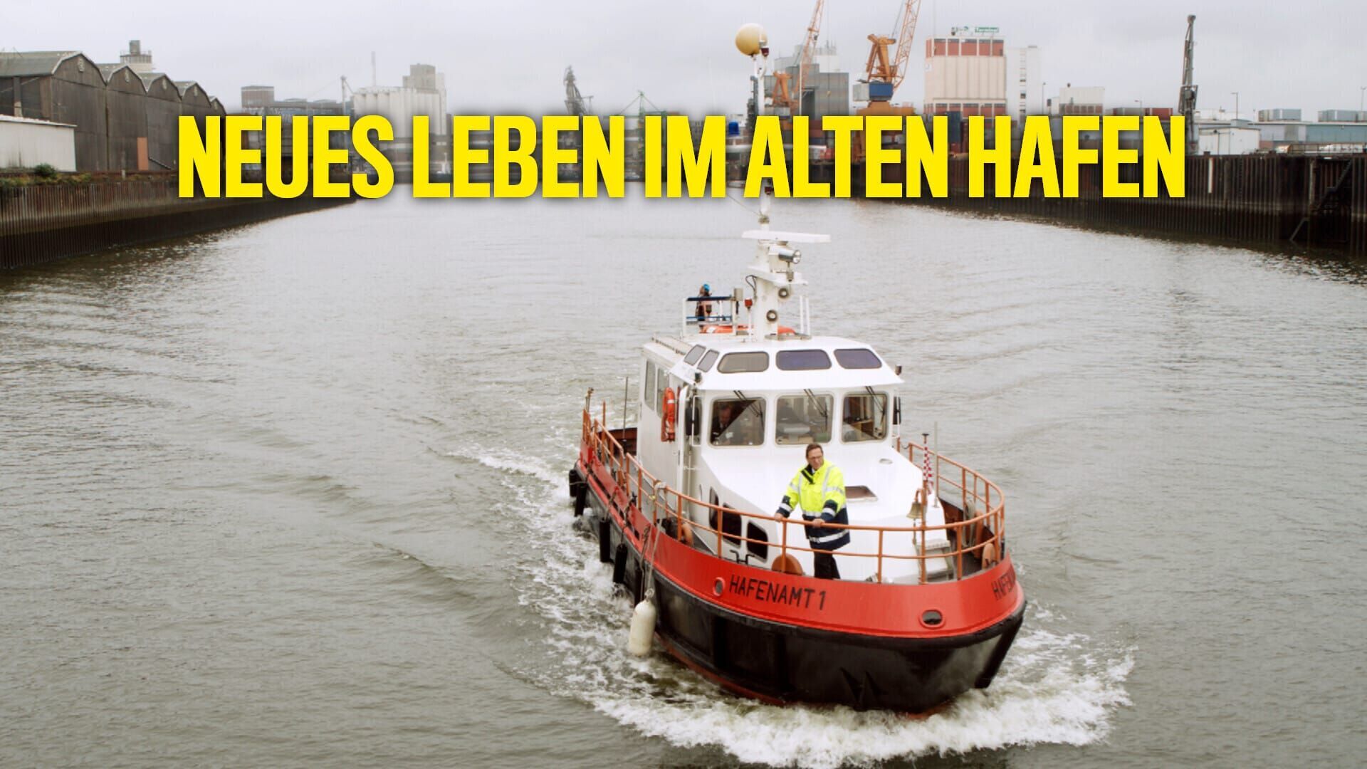 Neues Leben im alten Hafen