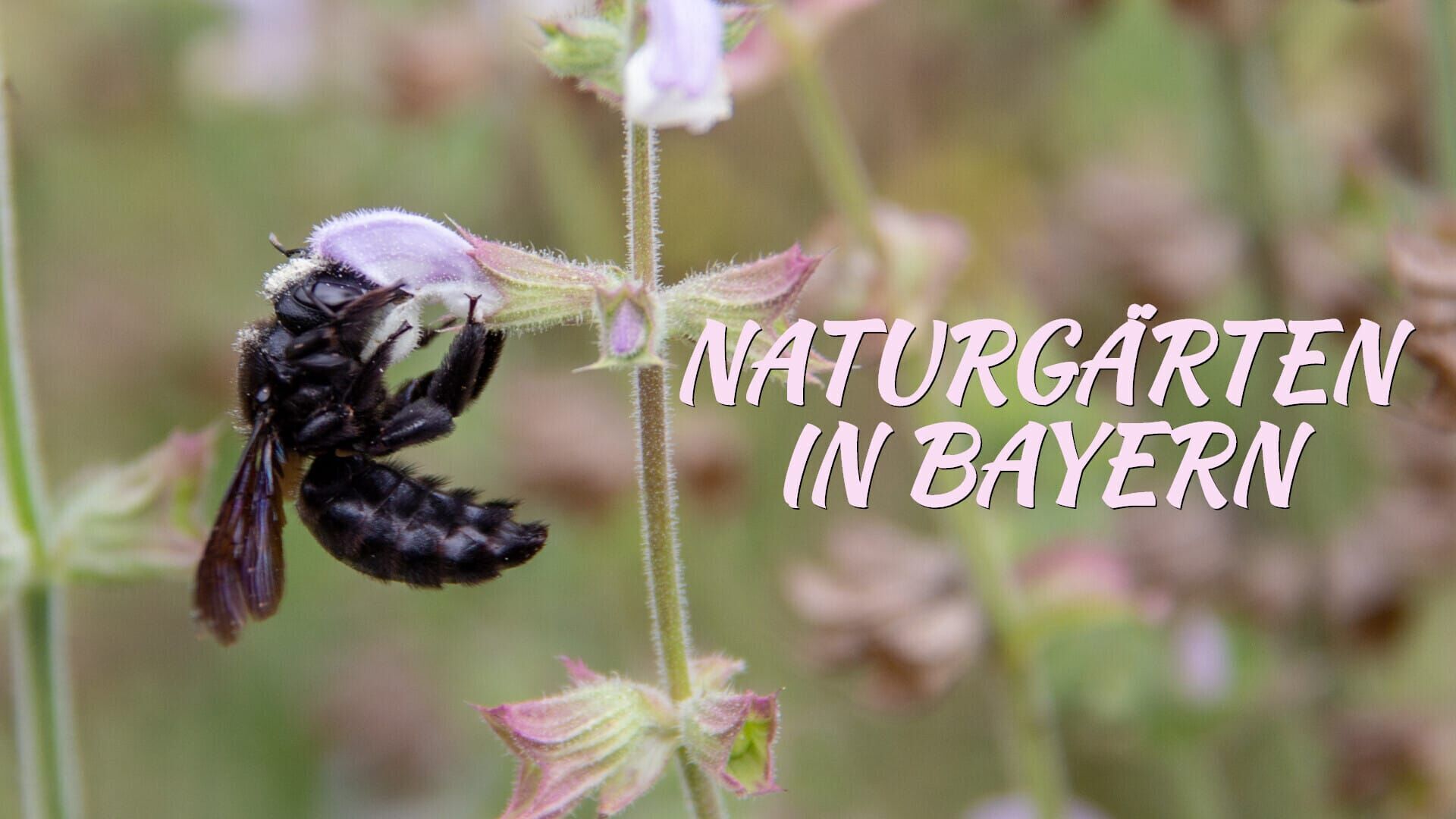 Naturgärten in Bayern